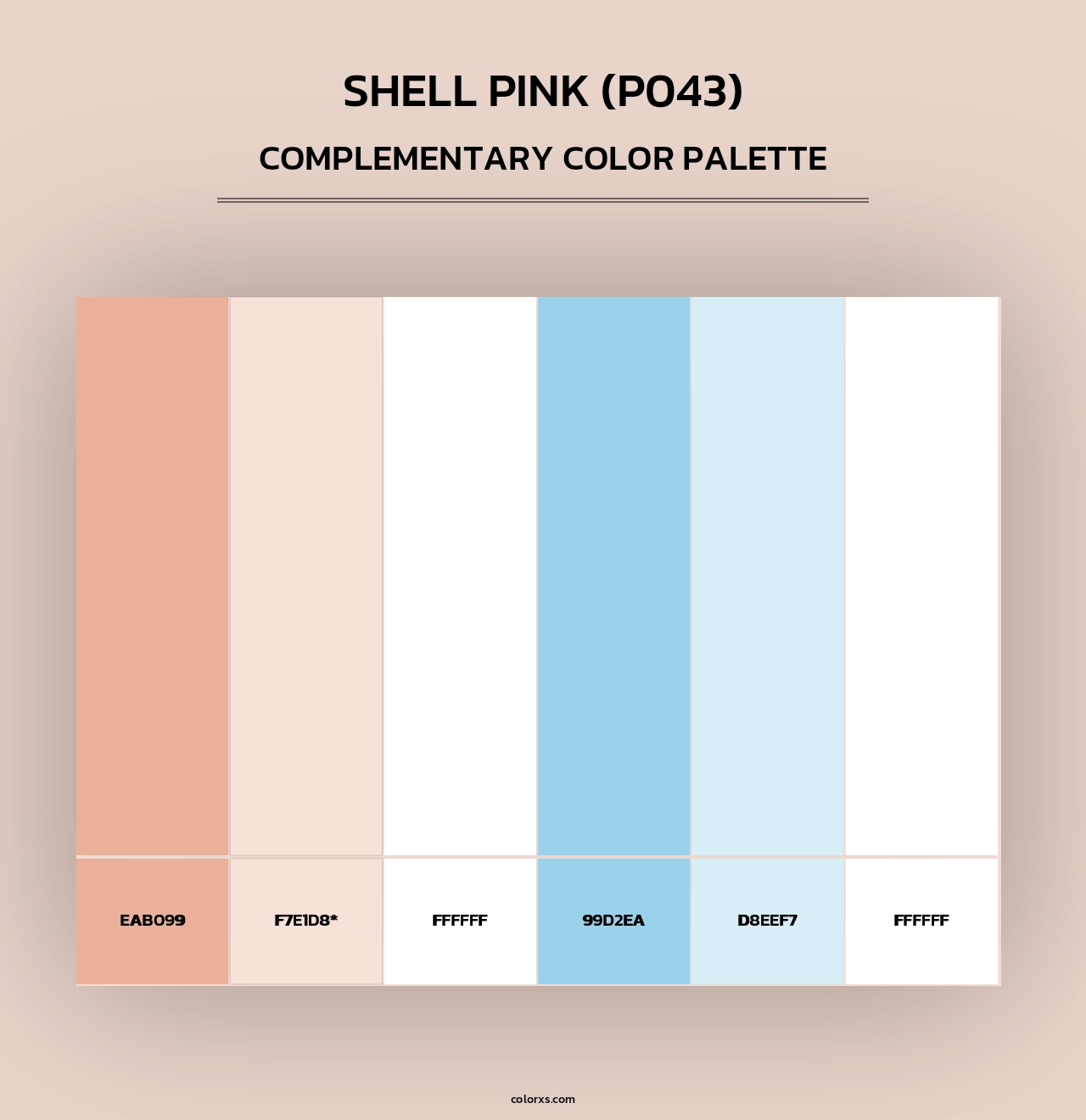 Shell Pink (P043) - Complementary Color Palette