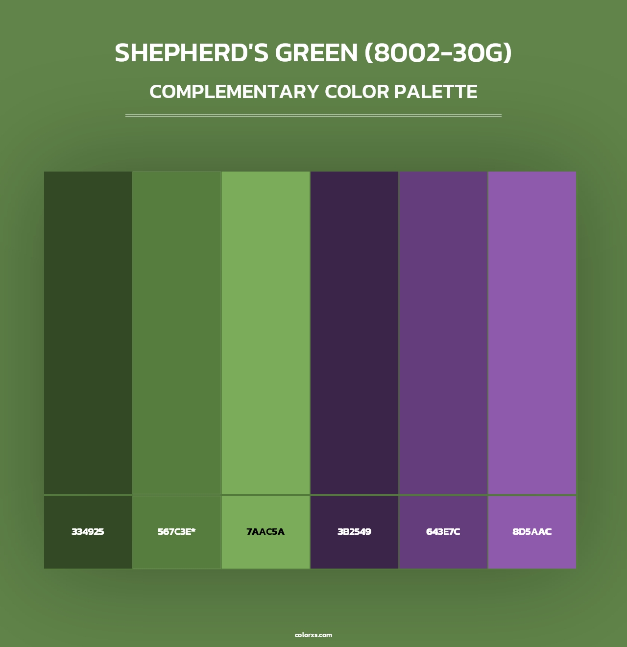 Shepherd's Green (8002-30G) - Complementary Color Palette