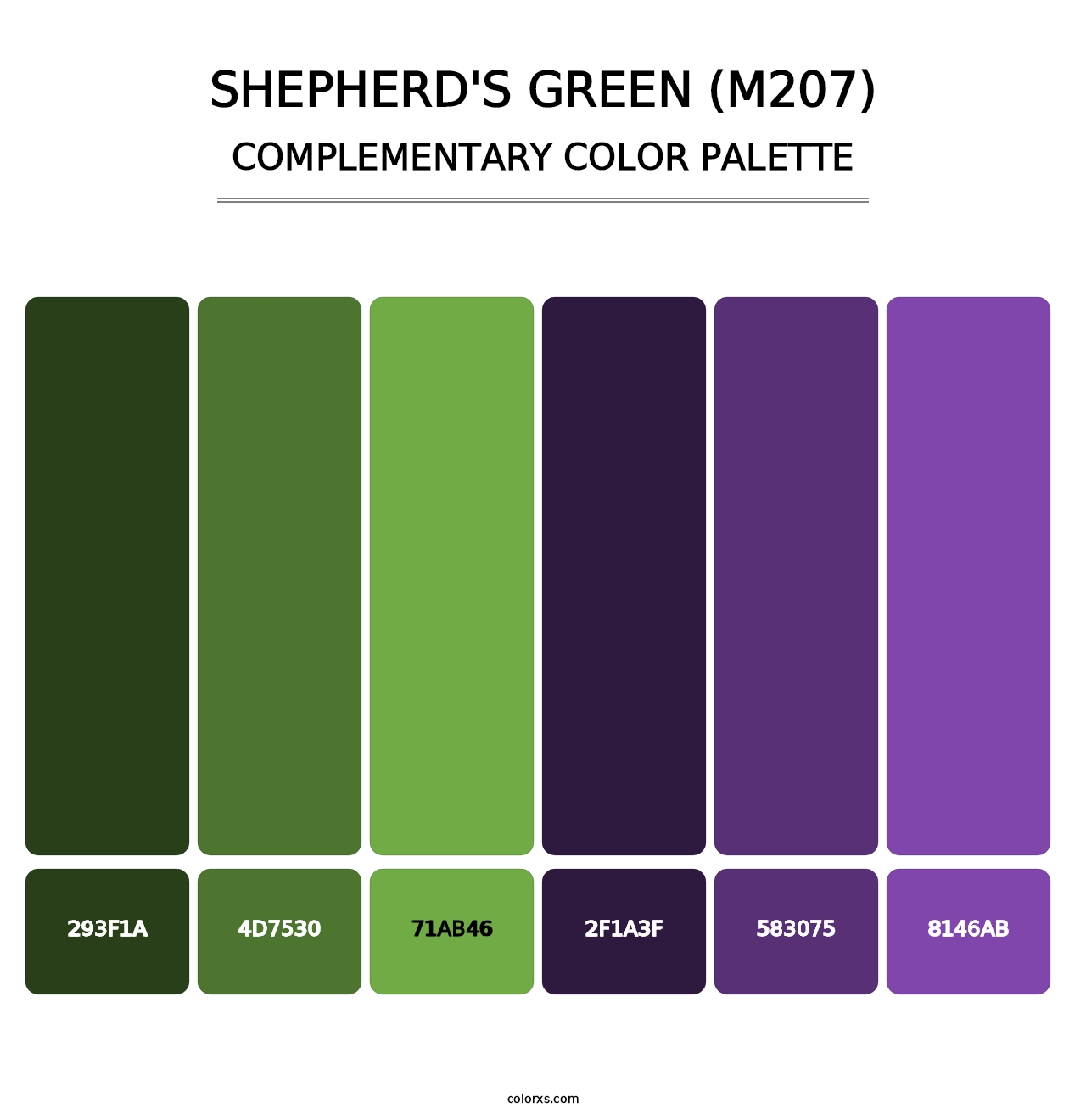 Shepherd's Green (M207) - Complementary Color Palette
