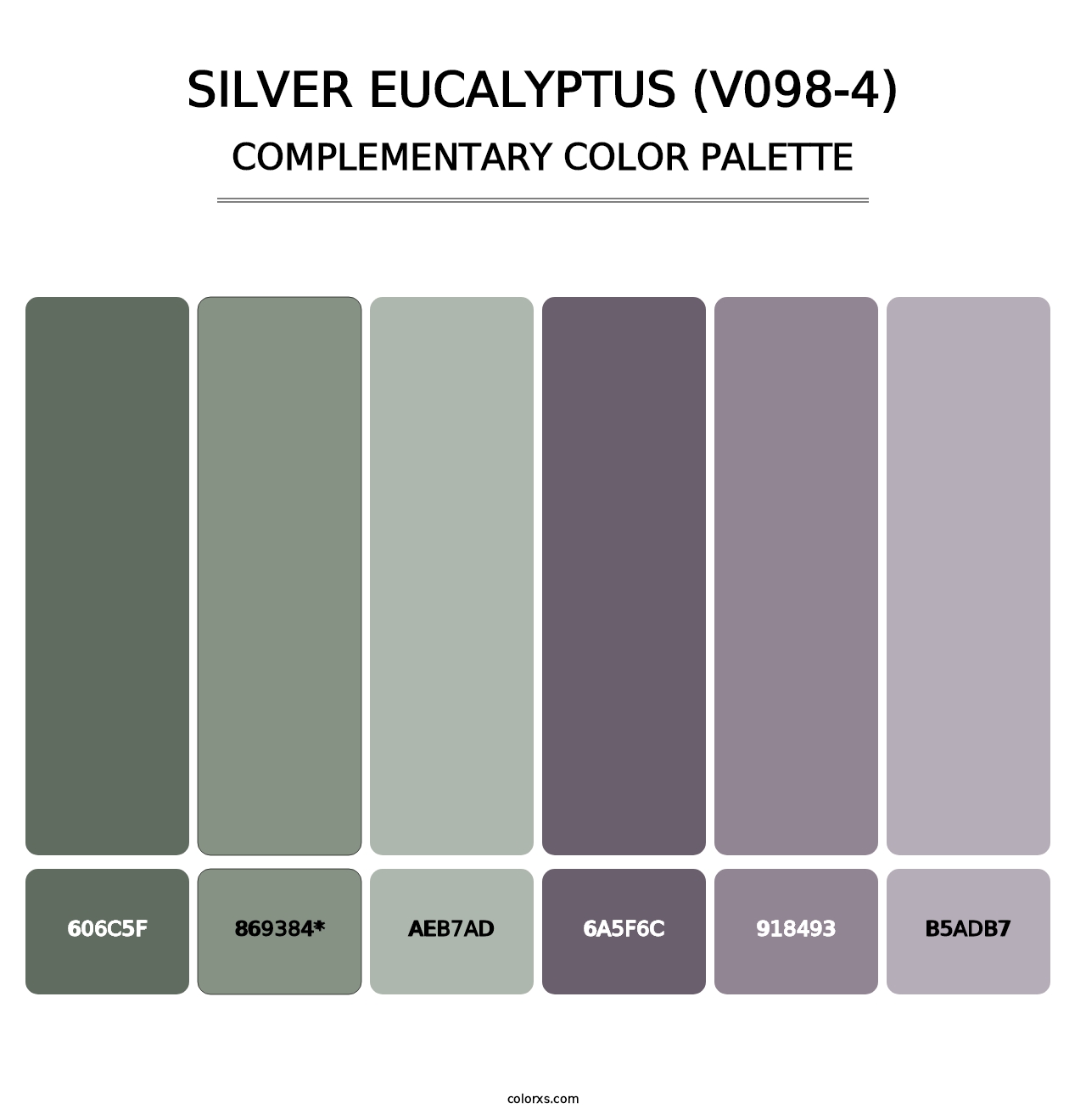 Silver Eucalyptus (V098-4) - Complementary Color Palette