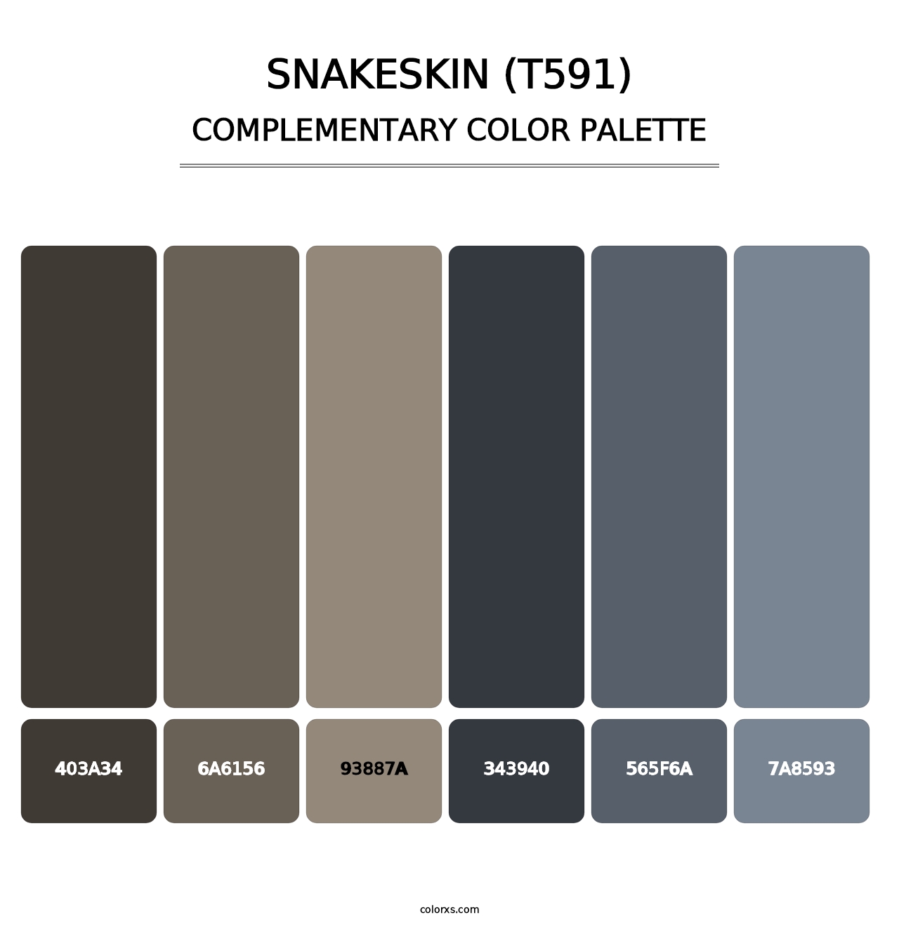 Snakeskin (T591) - Complementary Color Palette