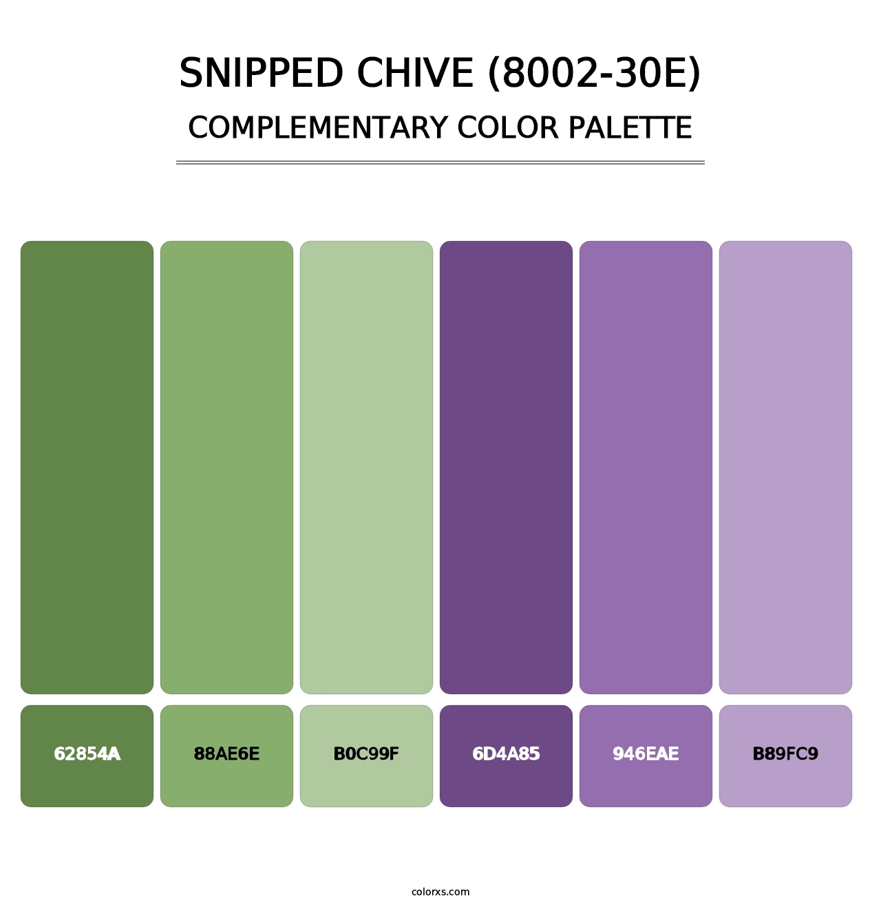 Snipped Chive (8002-30E) - Complementary Color Palette