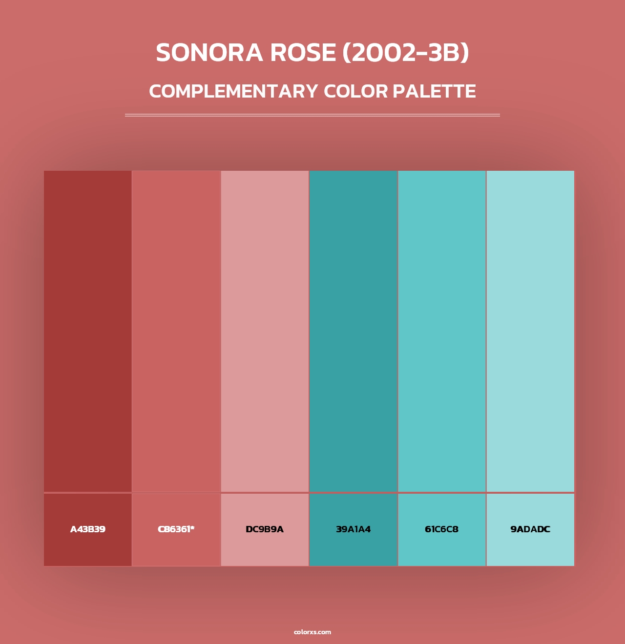 Sonora Rose (2002-3B) - Complementary Color Palette