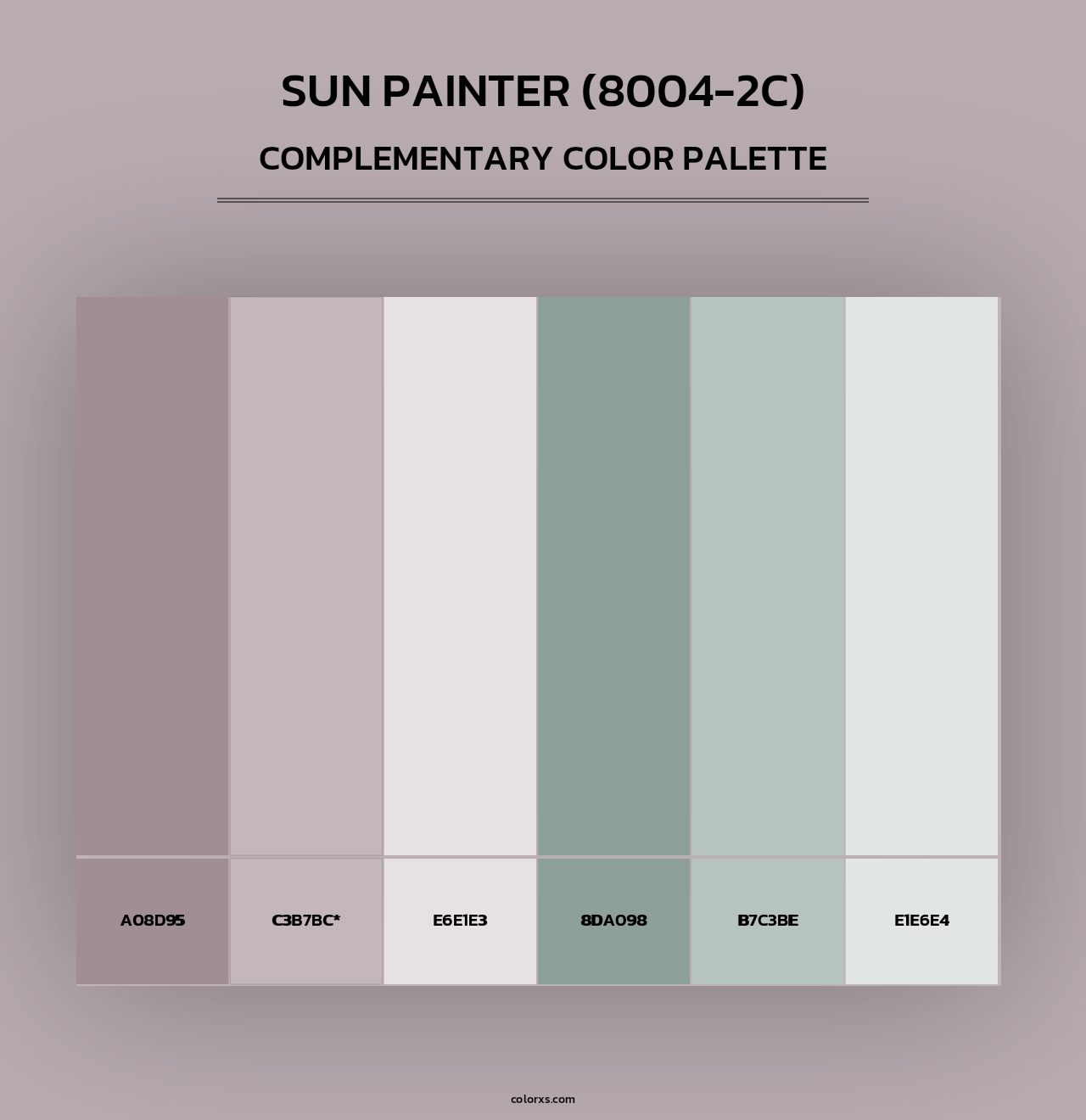Sun Painter (8004-2C) - Complementary Color Palette