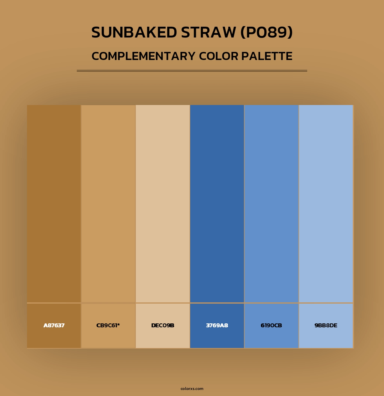 Sunbaked Straw (P089) - Complementary Color Palette