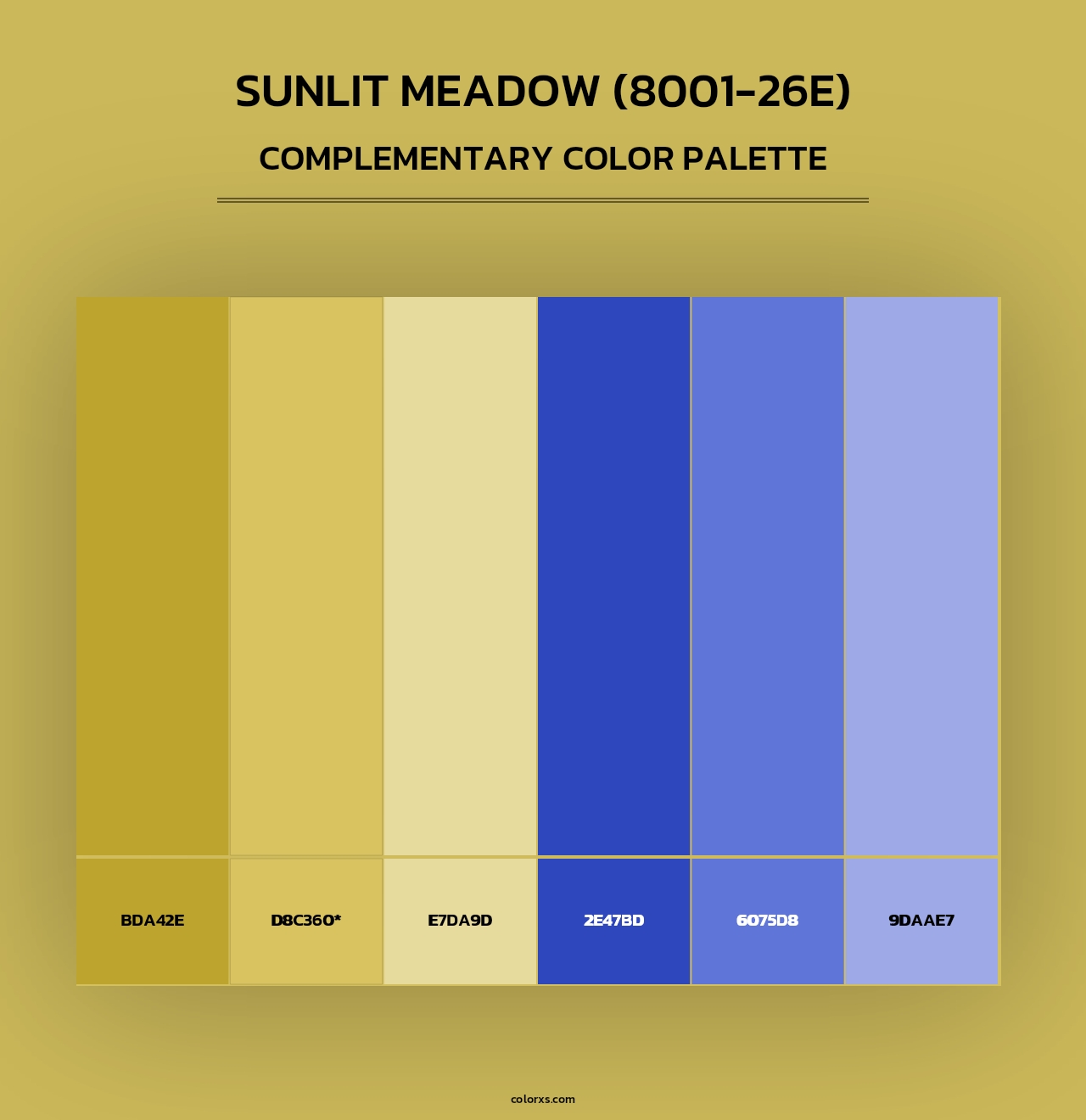 Sunlit Meadow (8001-26E) - Complementary Color Palette