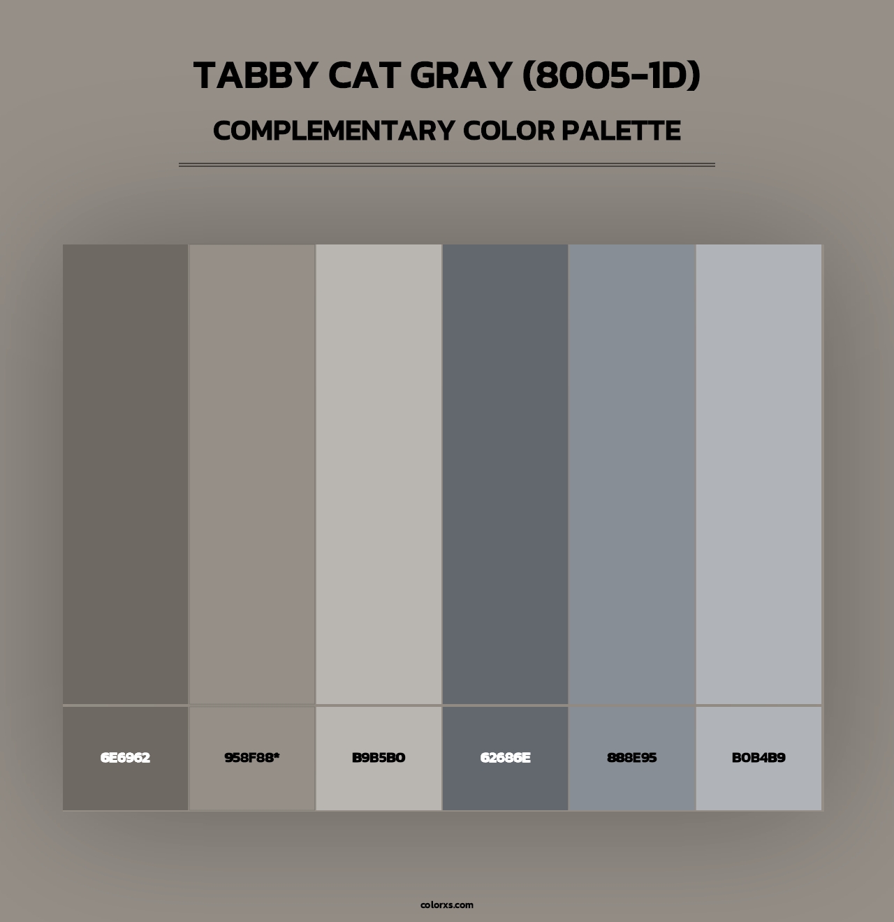 Tabby Cat Gray (8005-1D) - Complementary Color Palette