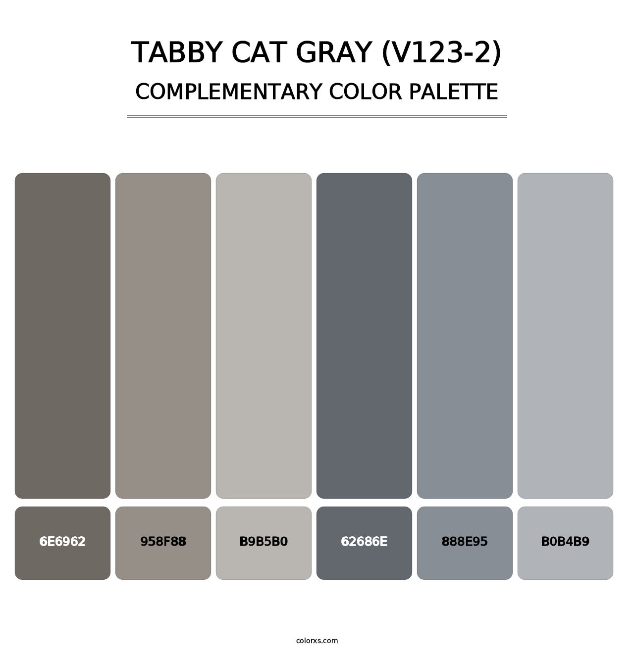 Tabby Cat Gray (V123-2) - Complementary Color Palette