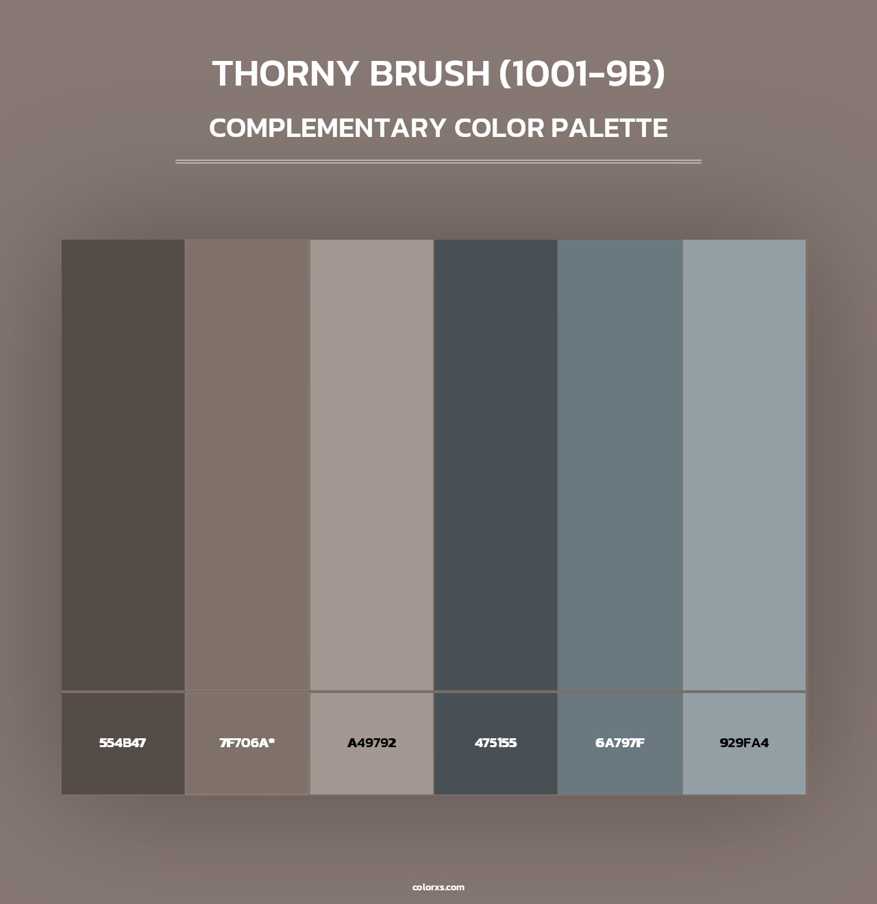 Thorny Brush (1001-9B) - Complementary Color Palette