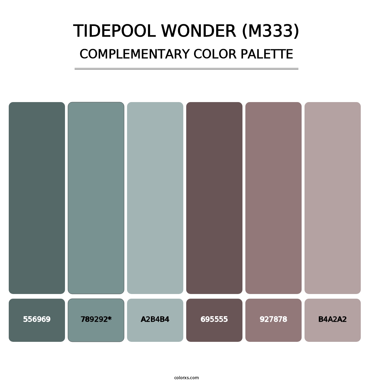 Tidepool Wonder (M333) - Complementary Color Palette