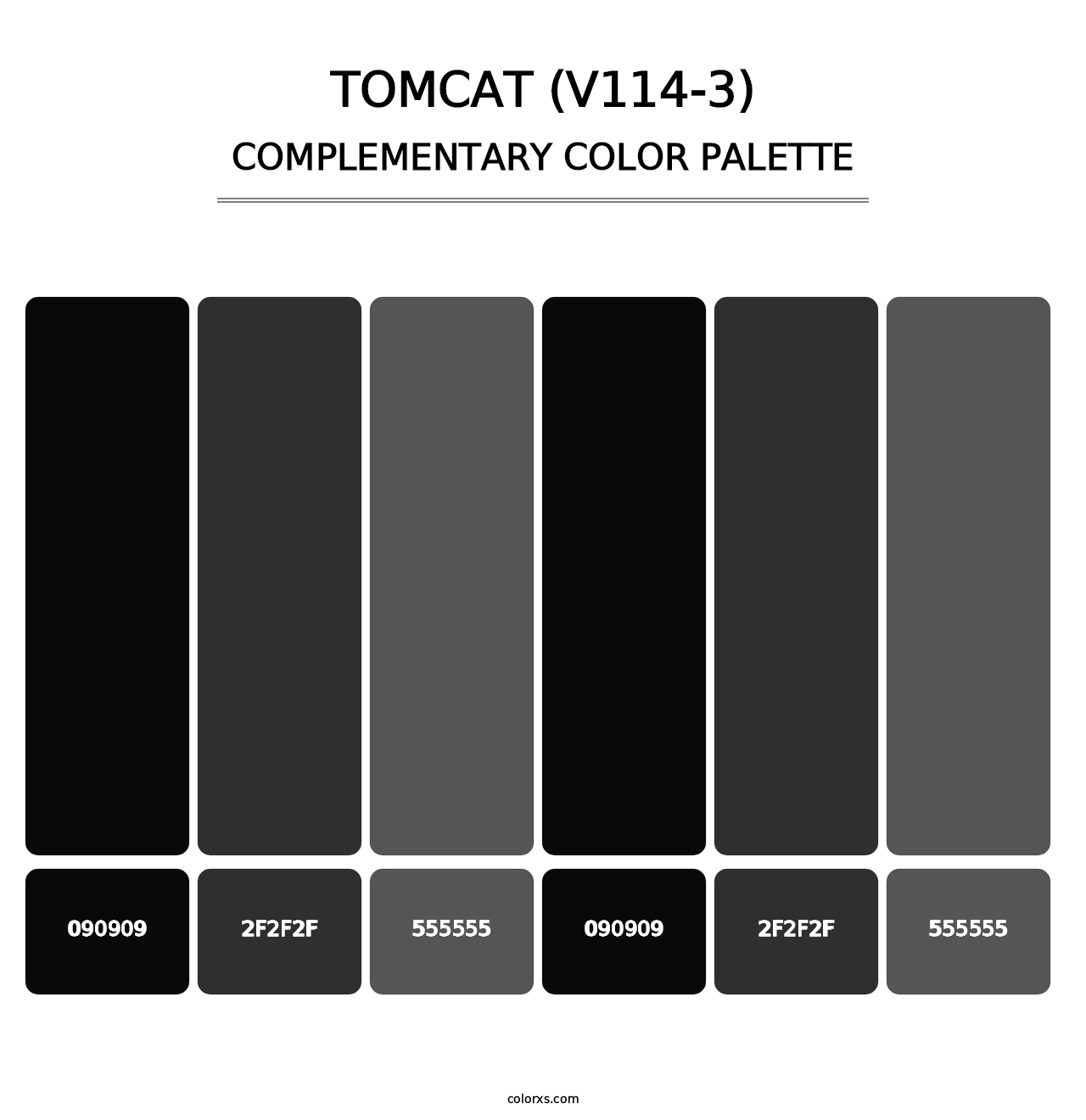 Tomcat (V114-3) - Complementary Color Palette