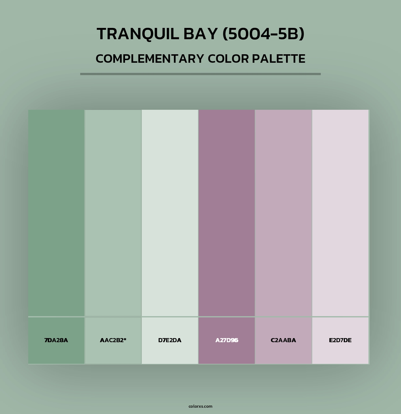 Tranquil Bay (5004-5B) - Complementary Color Palette