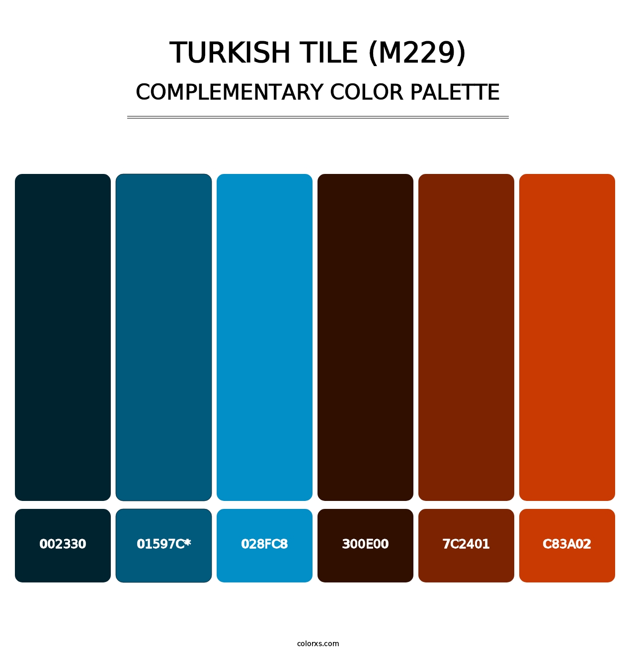 Turkish Tile (M229) - Complementary Color Palette