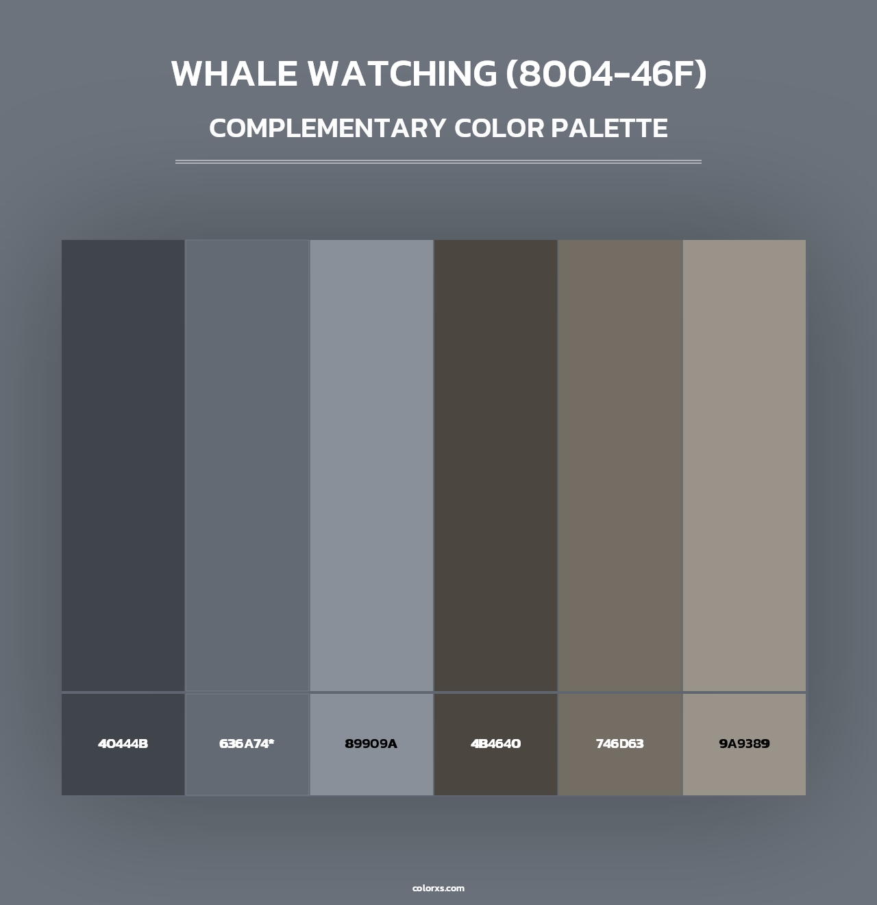 Whale Watching (8004-46F) - Complementary Color Palette
