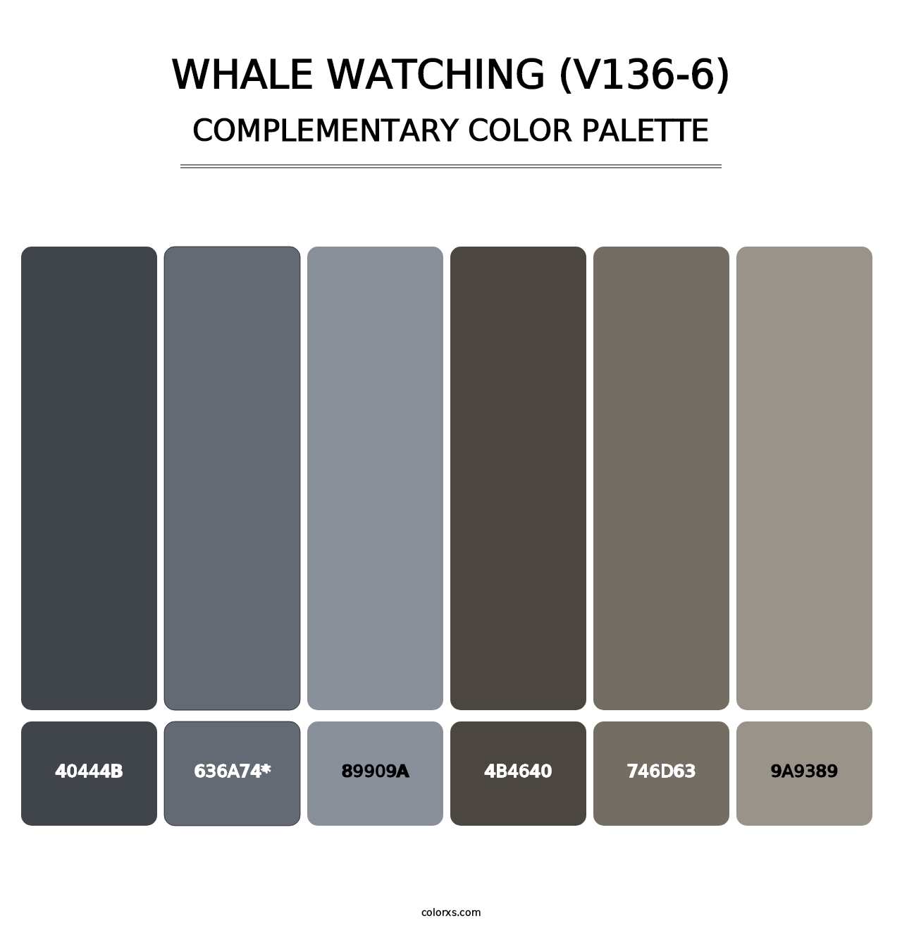Whale Watching (V136-6) - Complementary Color Palette