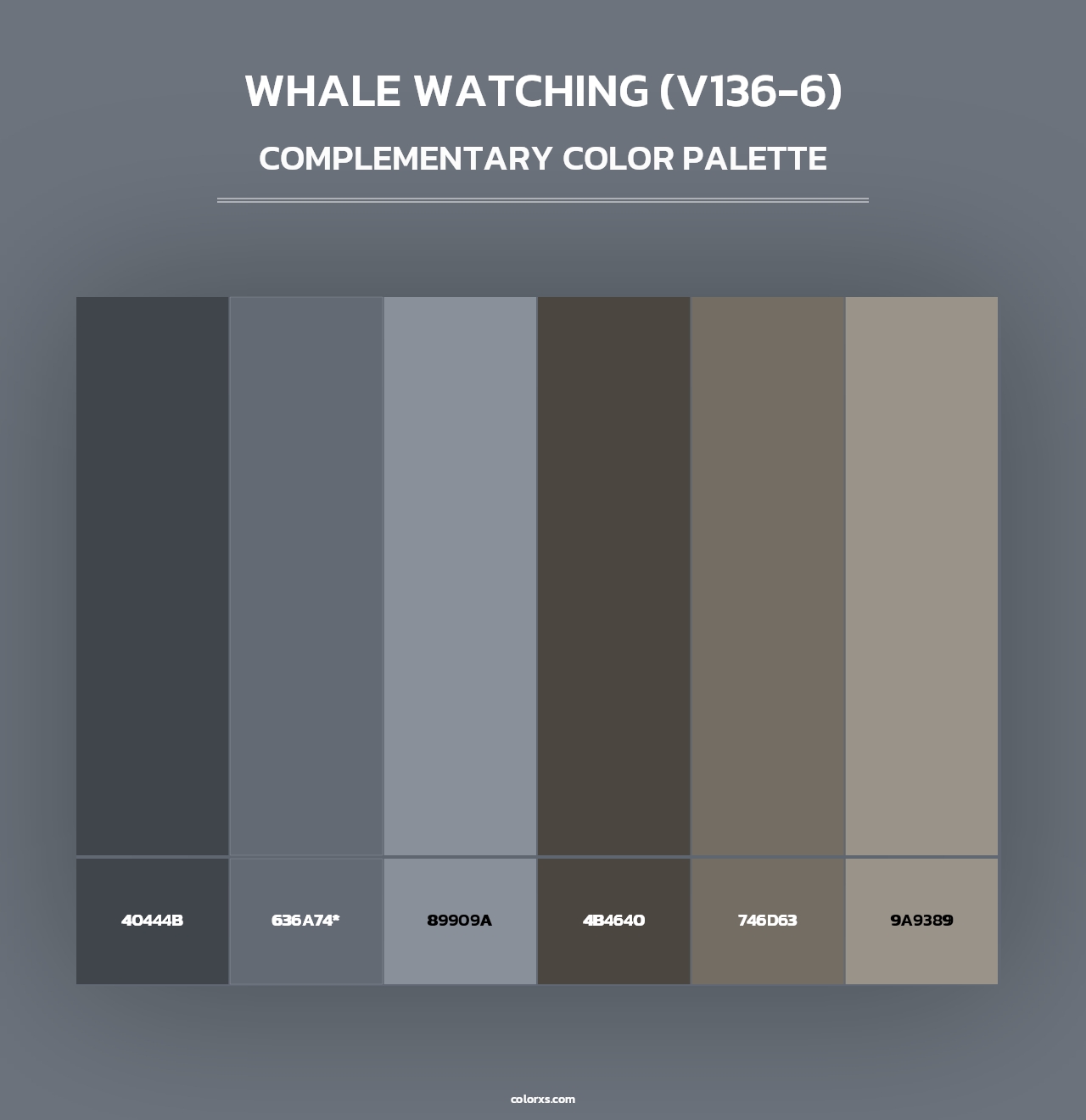 Whale Watching (V136-6) - Complementary Color Palette