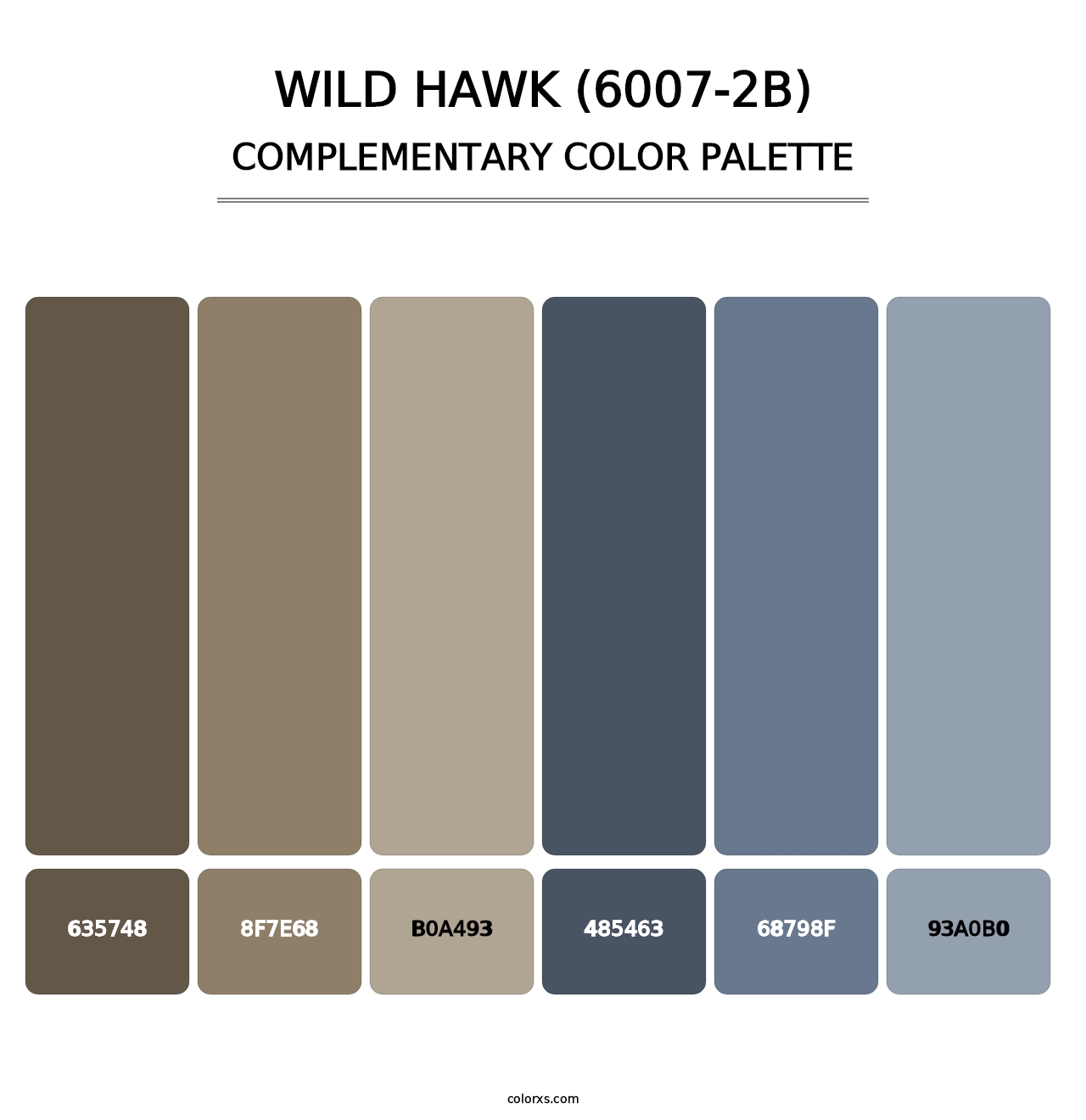Wild Hawk (6007-2B) - Complementary Color Palette