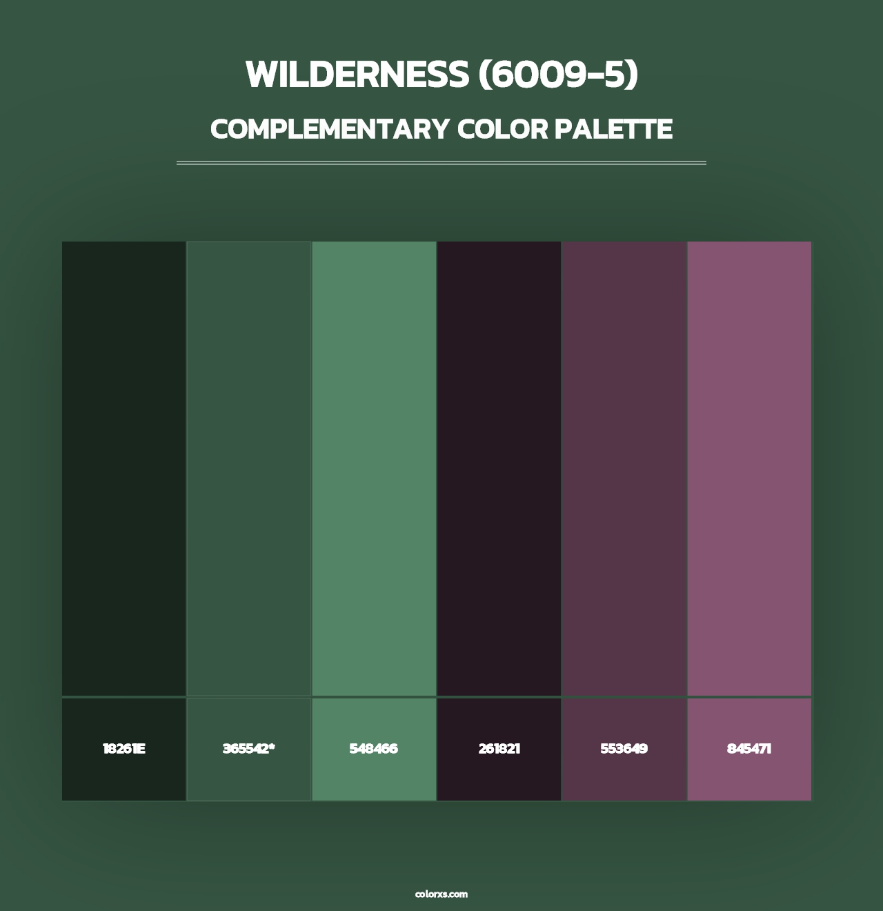 Wilderness (6009-5) - Complementary Color Palette