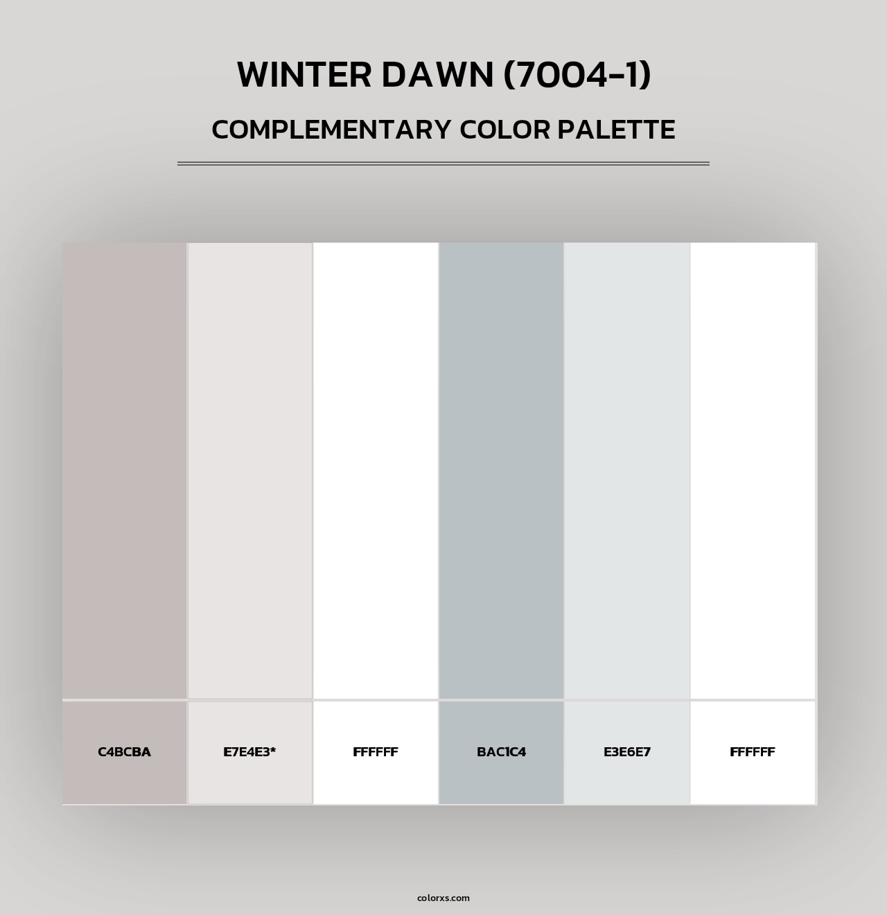 Winter Dawn (7004-1) - Complementary Color Palette
