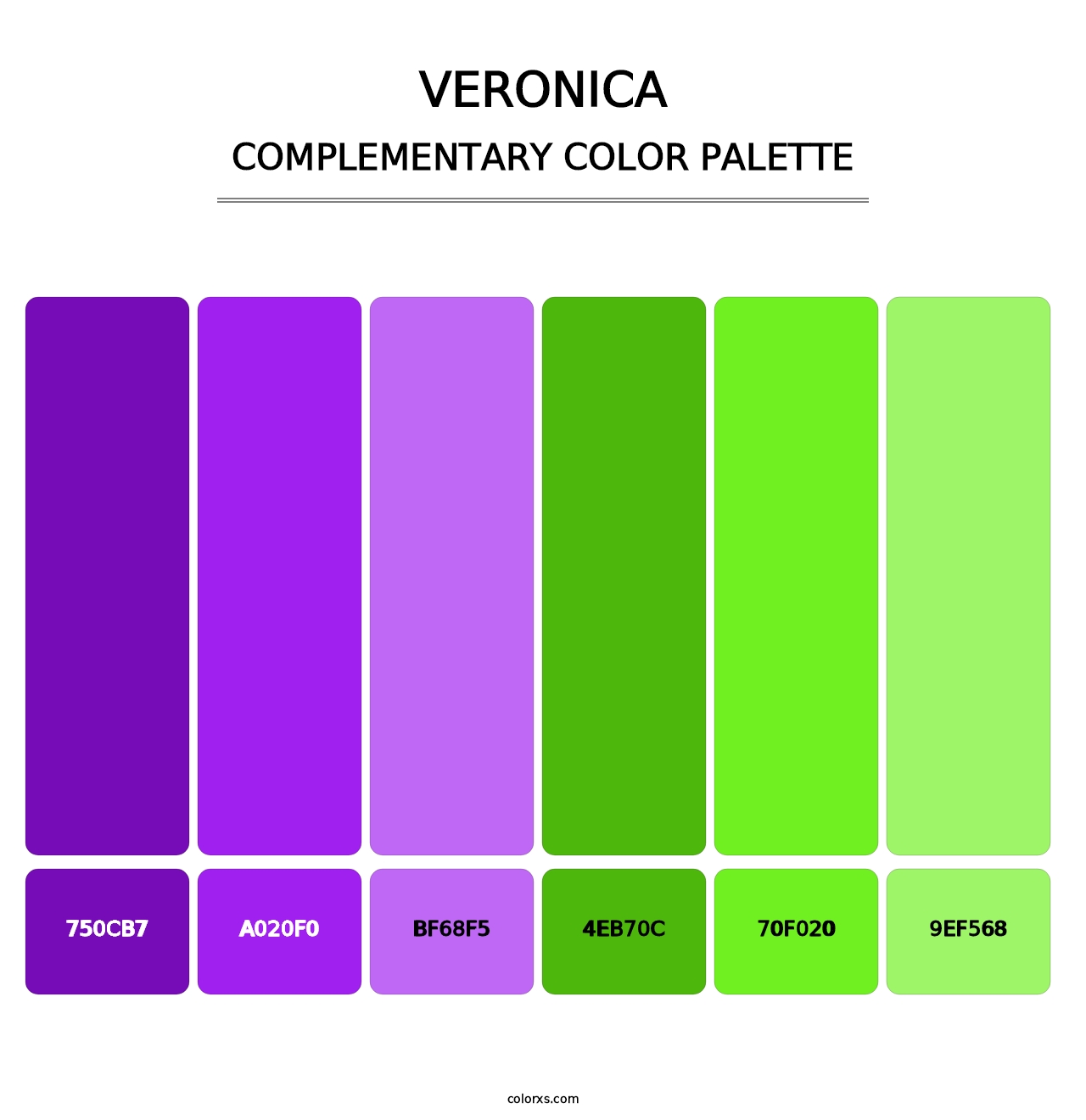 Veronica - Complementary Color Palette