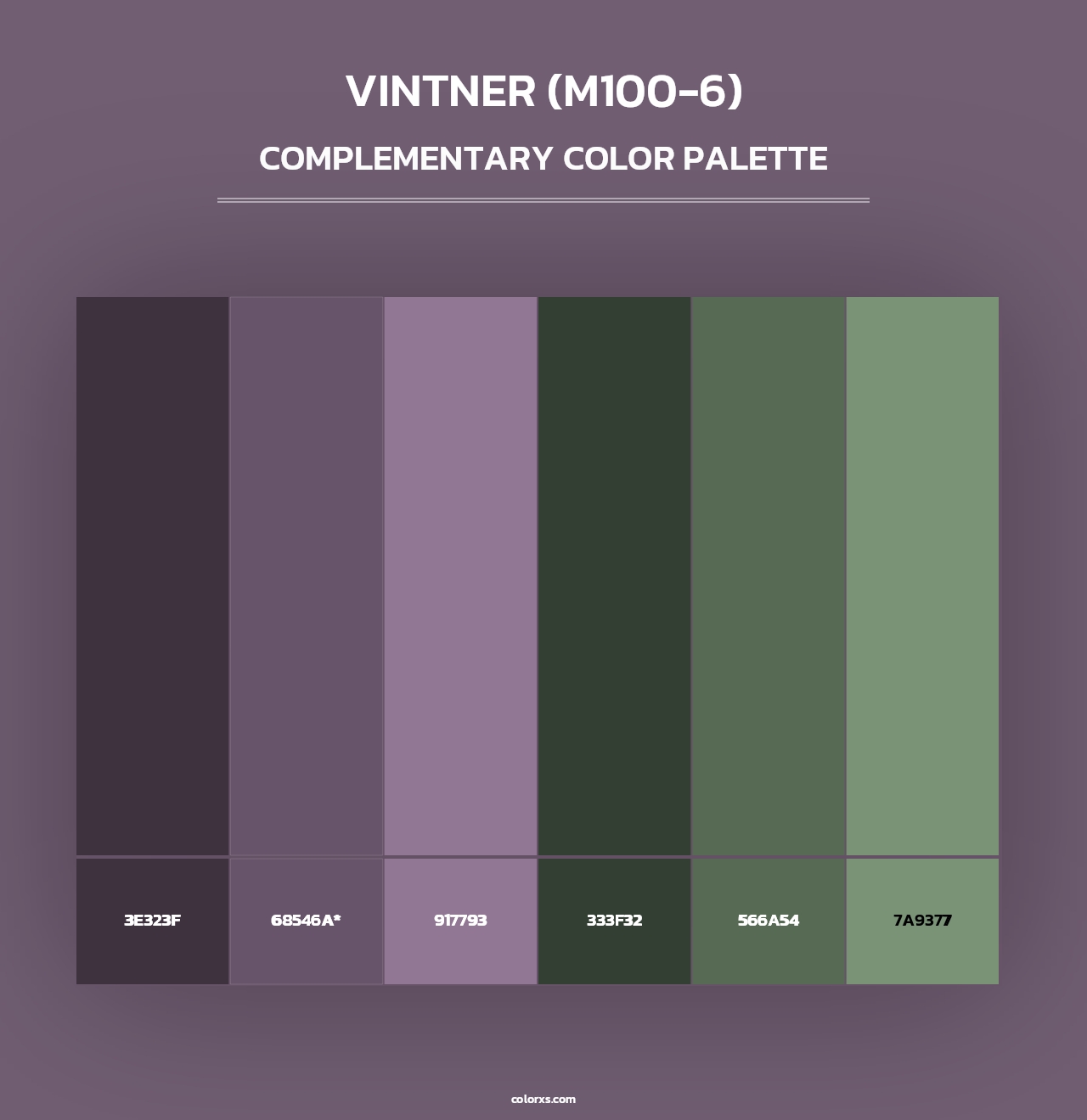 Vintner (M100-6) - Complementary Color Palette