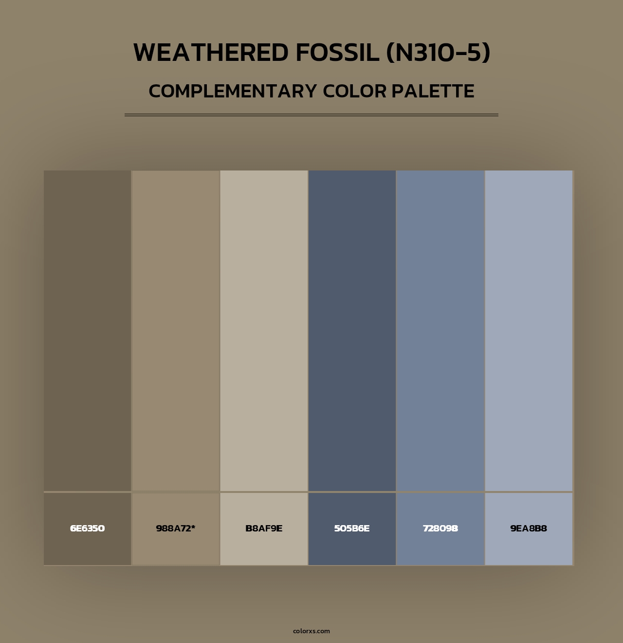 Weathered Fossil (N310-5) - Complementary Color Palette