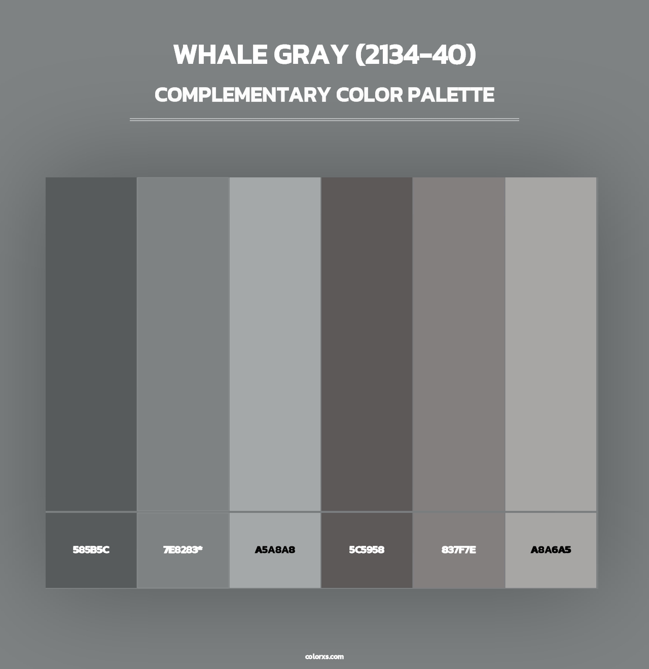 Whale Gray (2134-40) - Complementary Color Palette