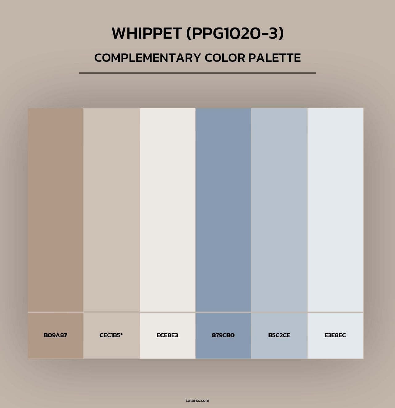 Whippet (PPG1020-3) - Complementary Color Palette