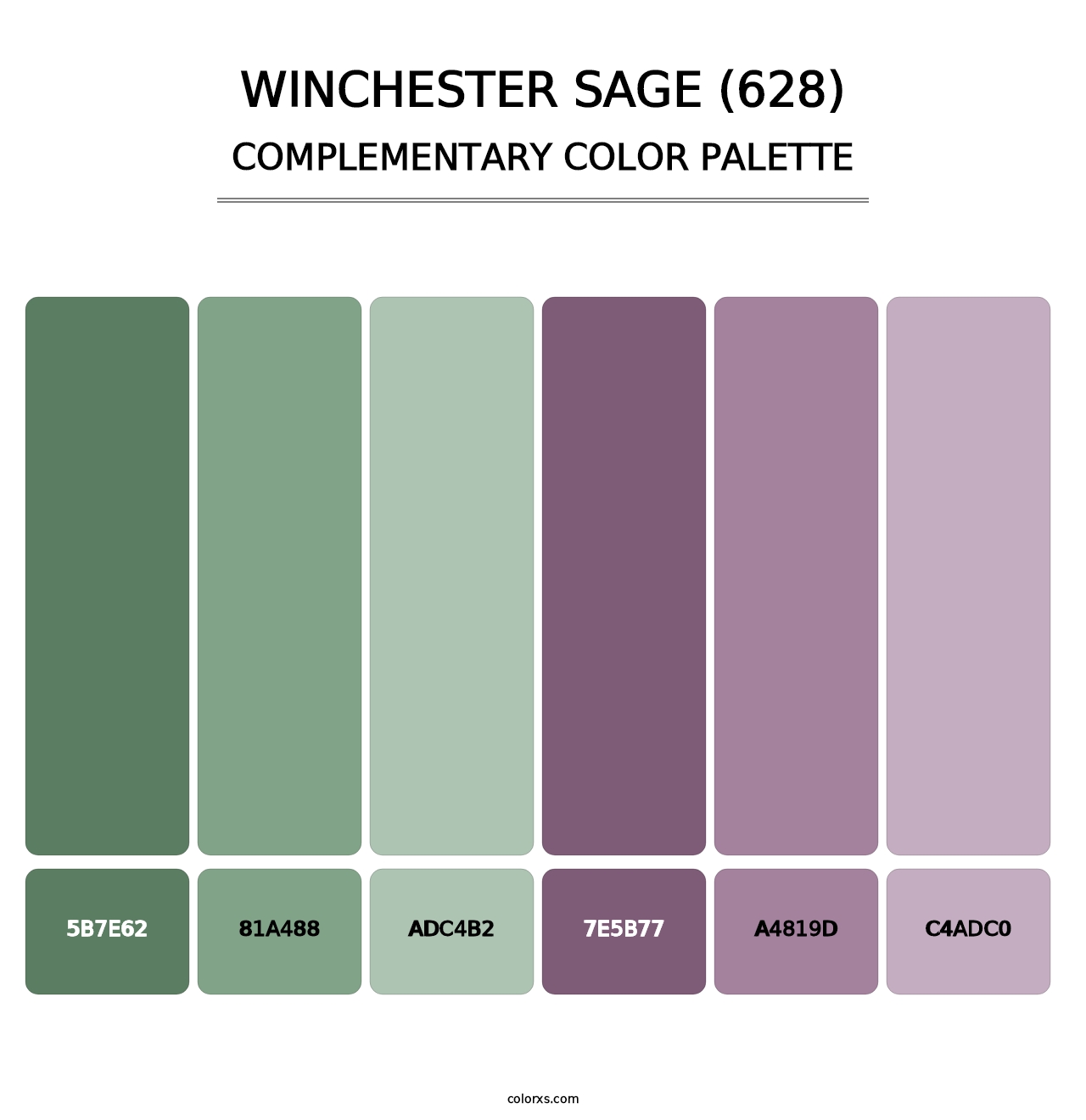 Winchester Sage (628) - Complementary Color Palette