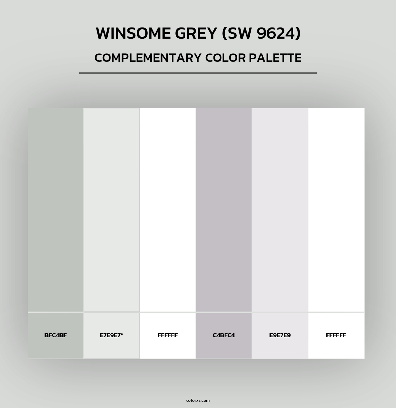 Winsome Grey (SW 9624) - Complementary Color Palette