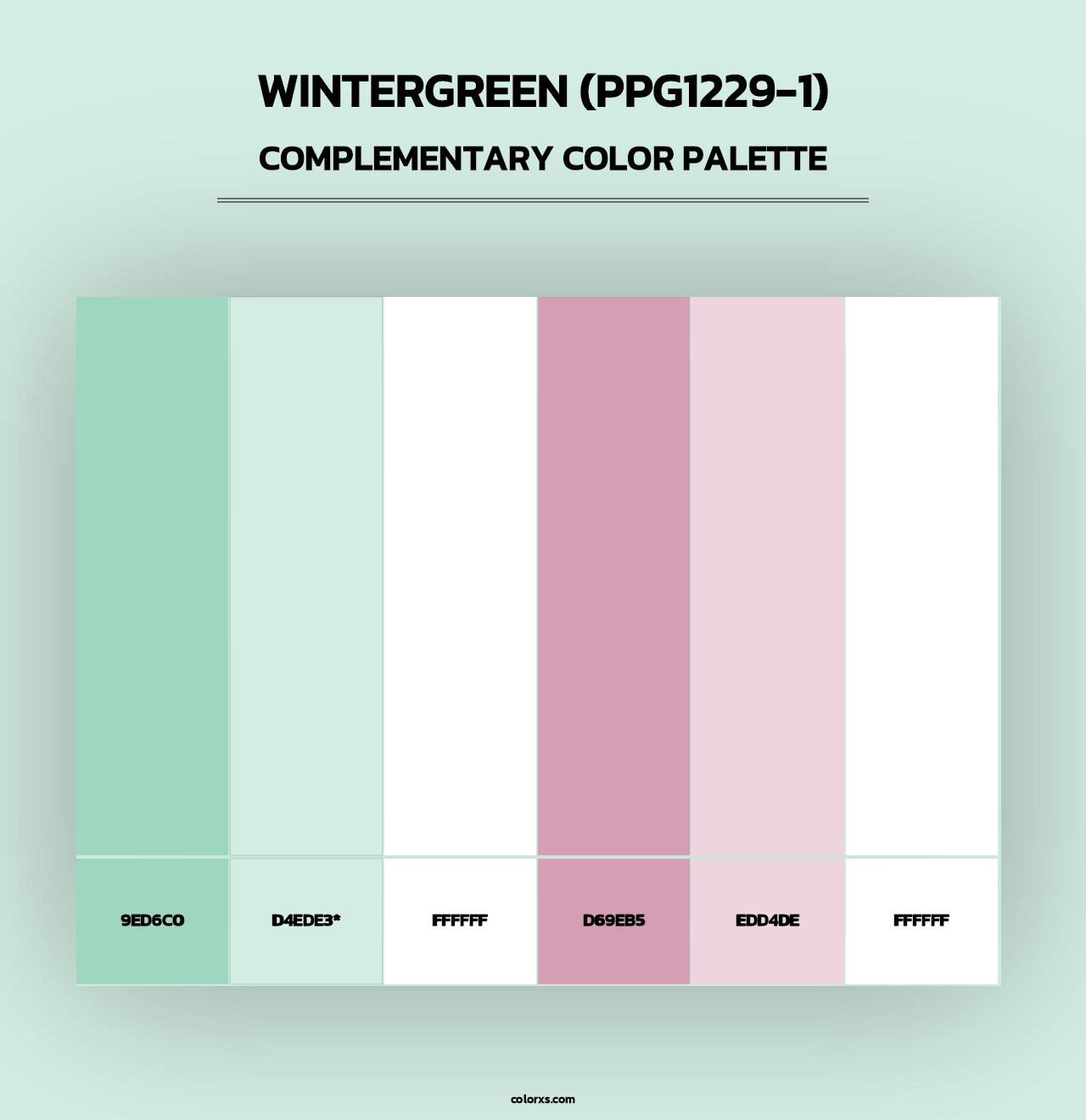 Wintergreen (PPG1229-1) - Complementary Color Palette