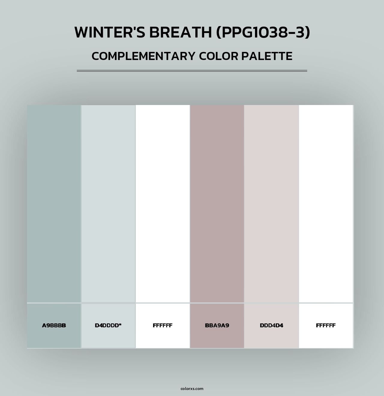 Winter's Breath (PPG1038-3) - Complementary Color Palette
