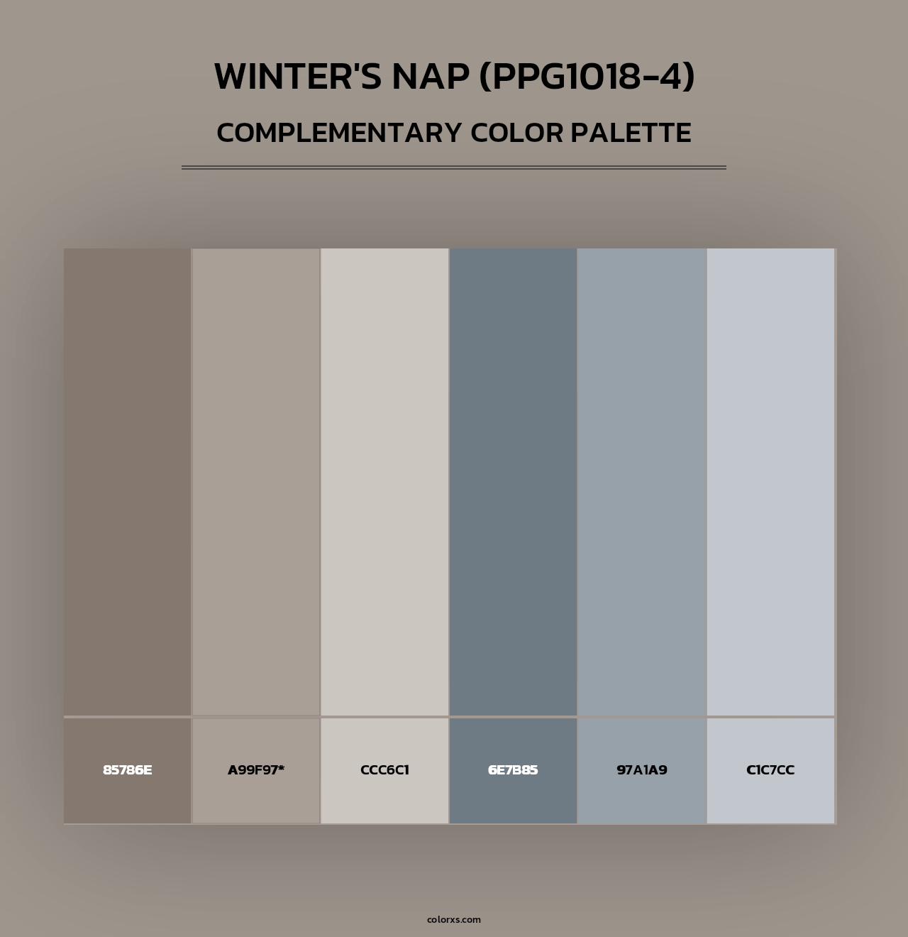 Winter's Nap (PPG1018-4) - Complementary Color Palette