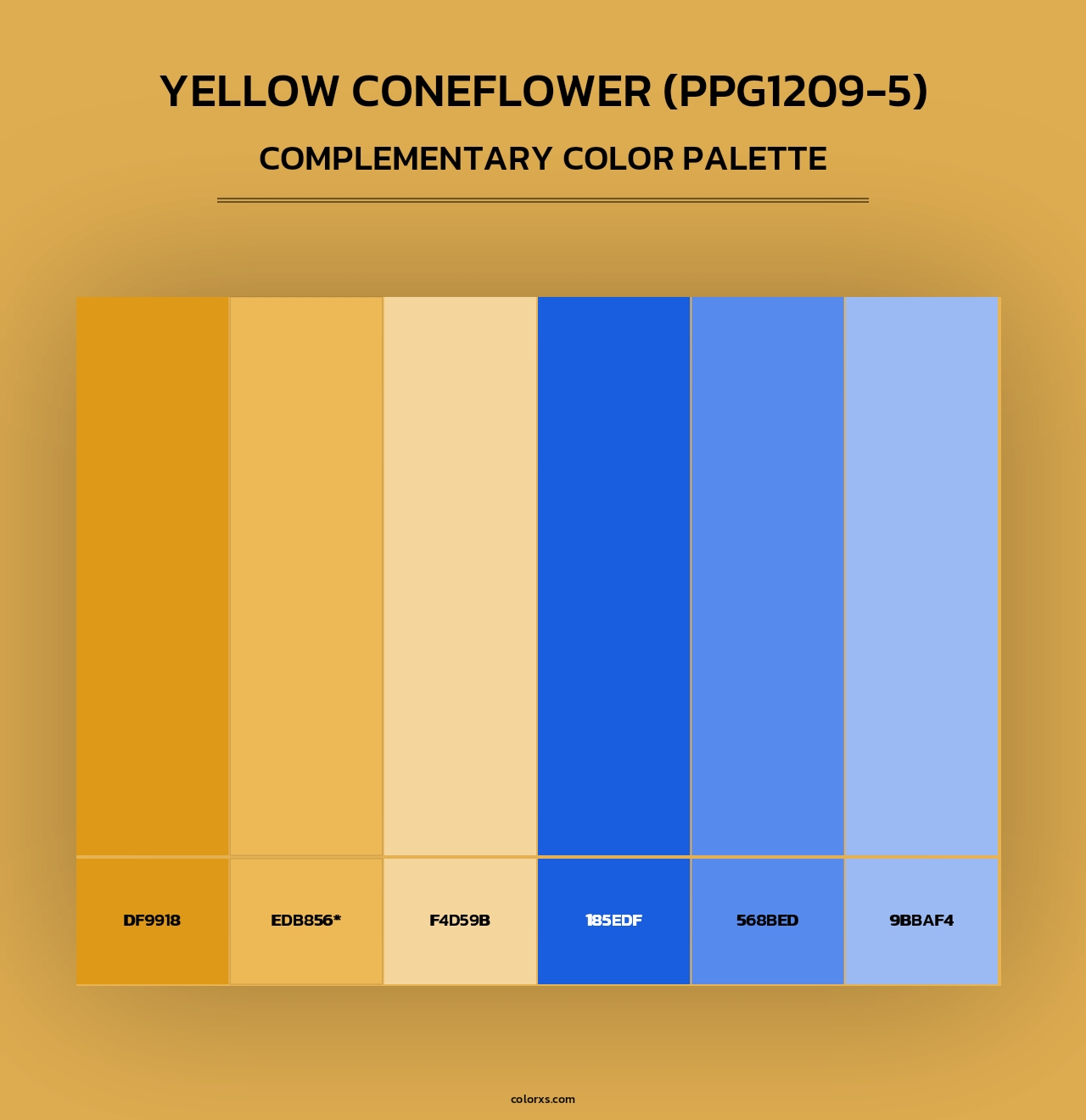 Yellow Coneflower (PPG1209-5) - Complementary Color Palette