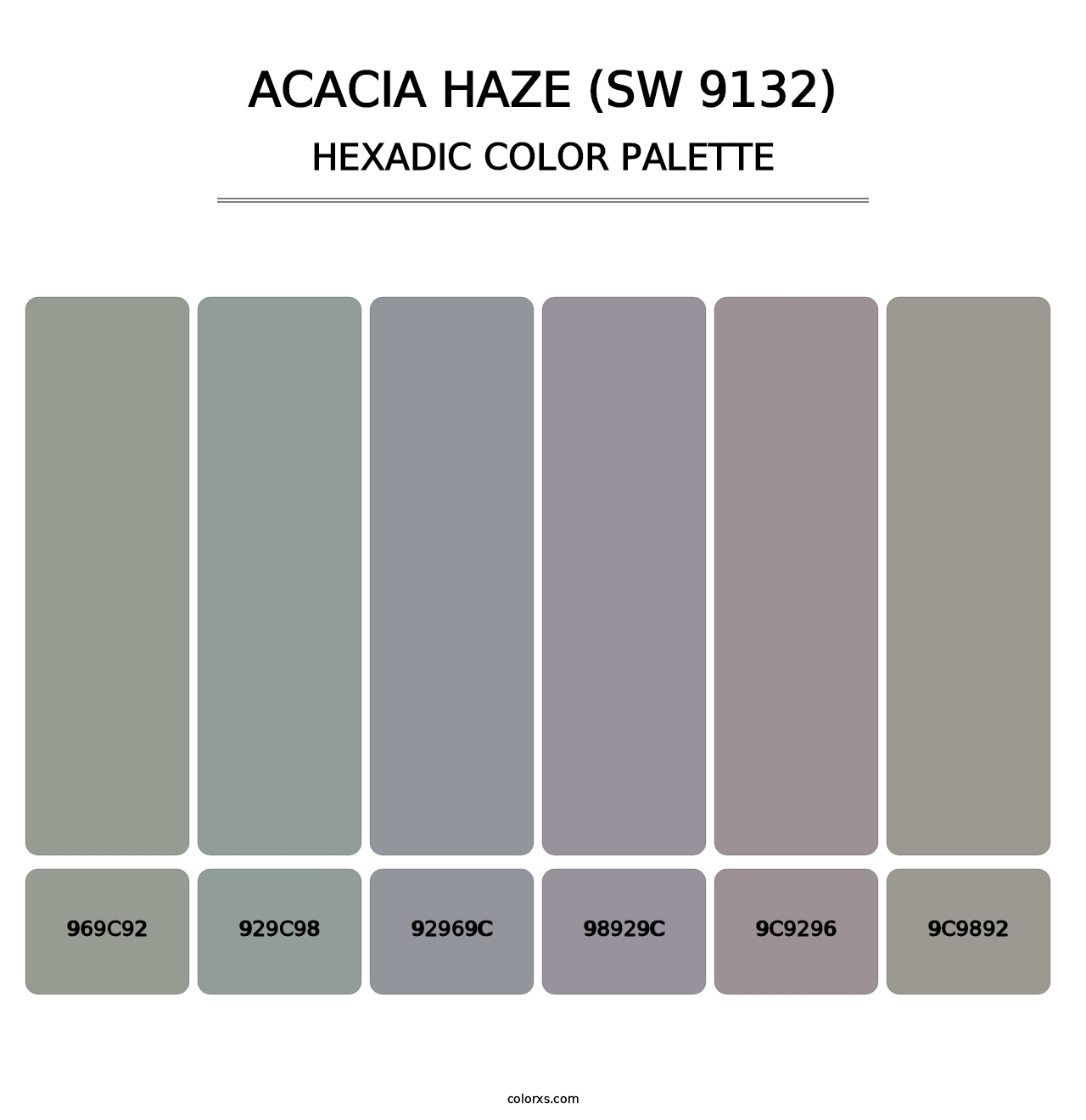 Acacia Haze (SW 9132) - Hexadic Color Palette