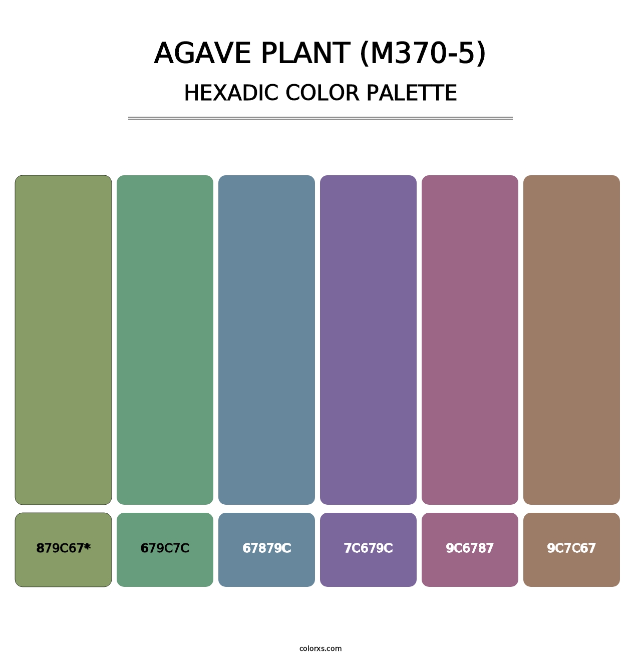 Agave Plant (M370-5) - Hexadic Color Palette