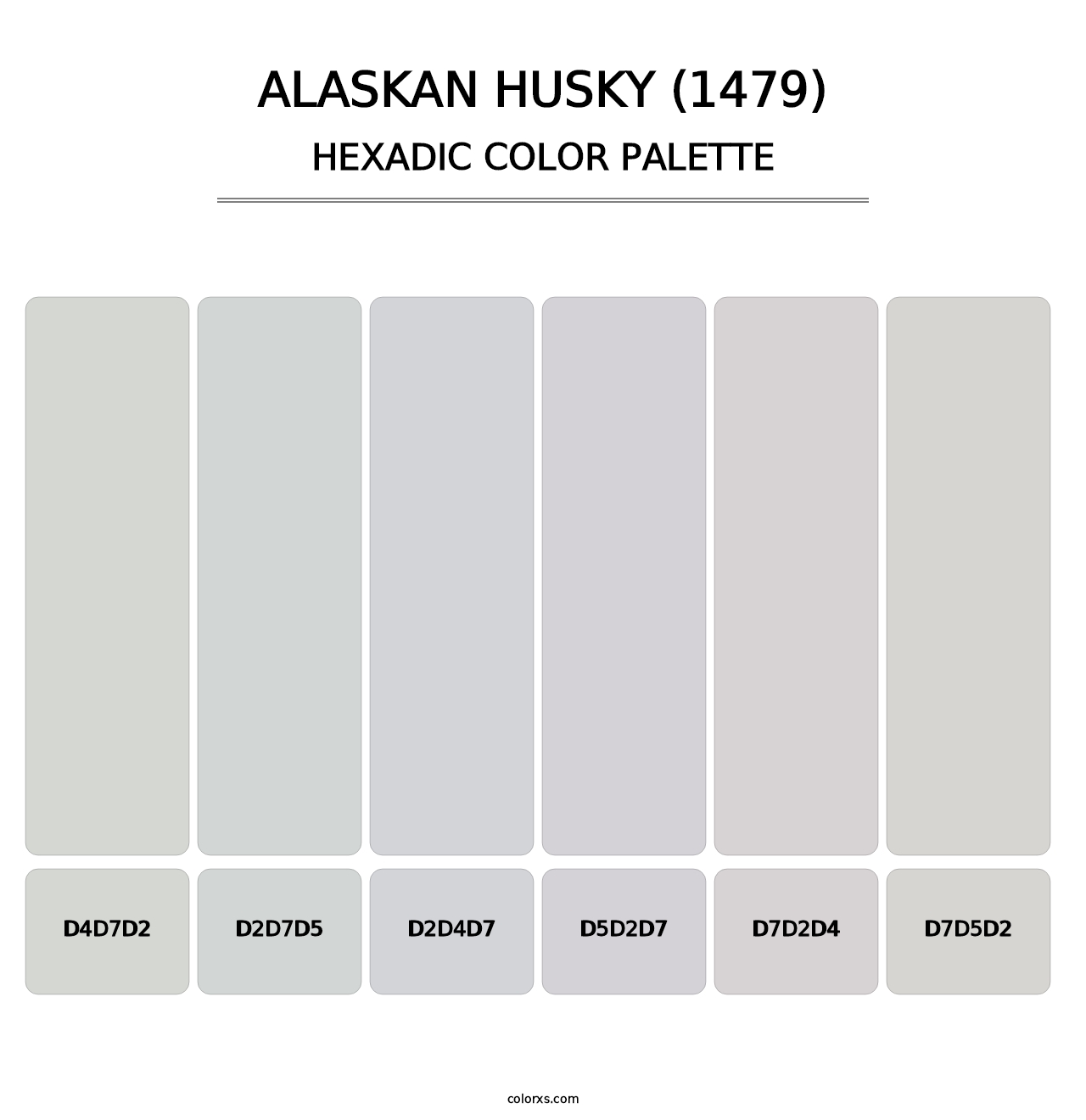 Alaskan Husky (1479) - Hexadic Color Palette