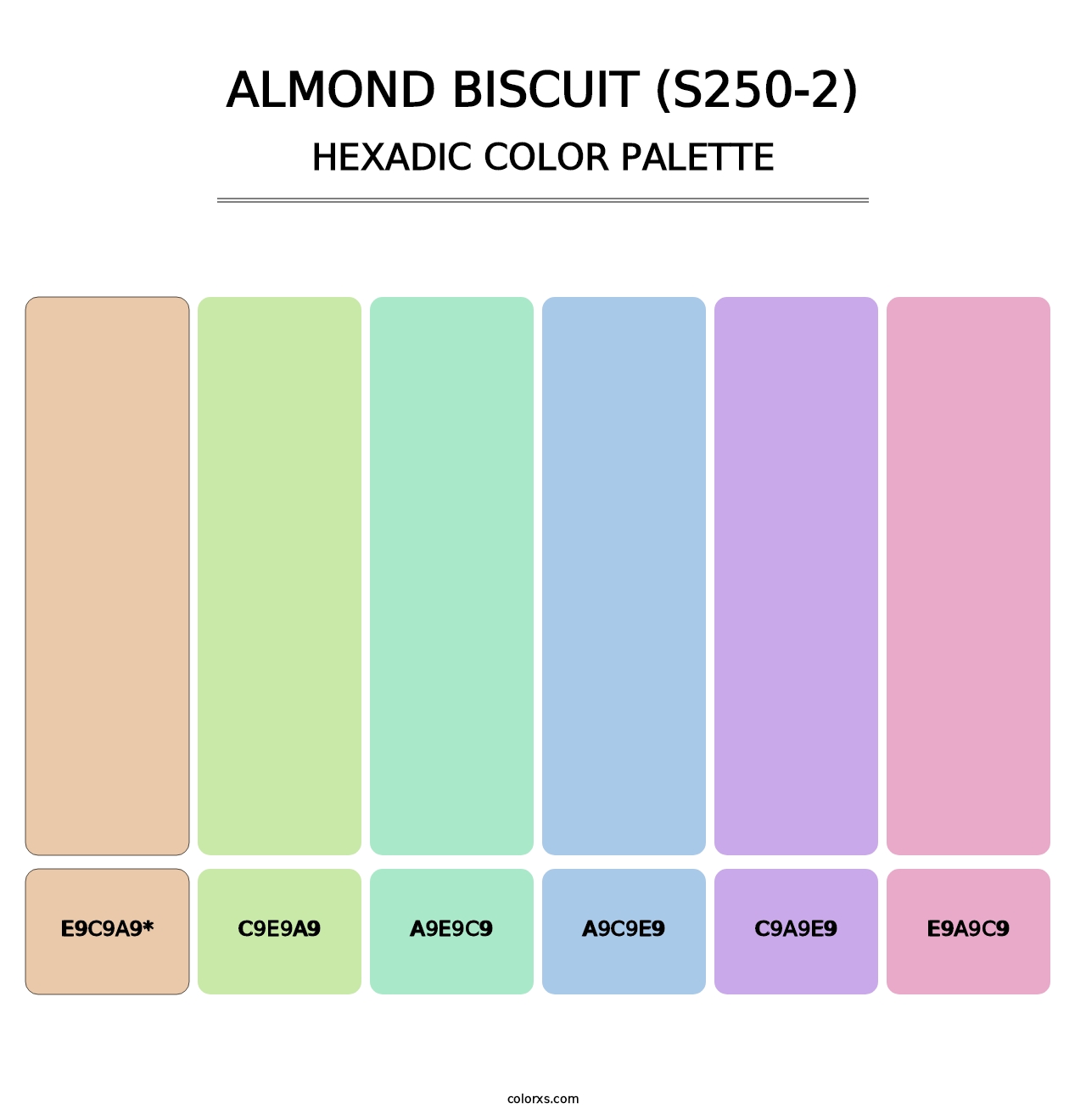 Almond Biscuit (S250-2) - Hexadic Color Palette
