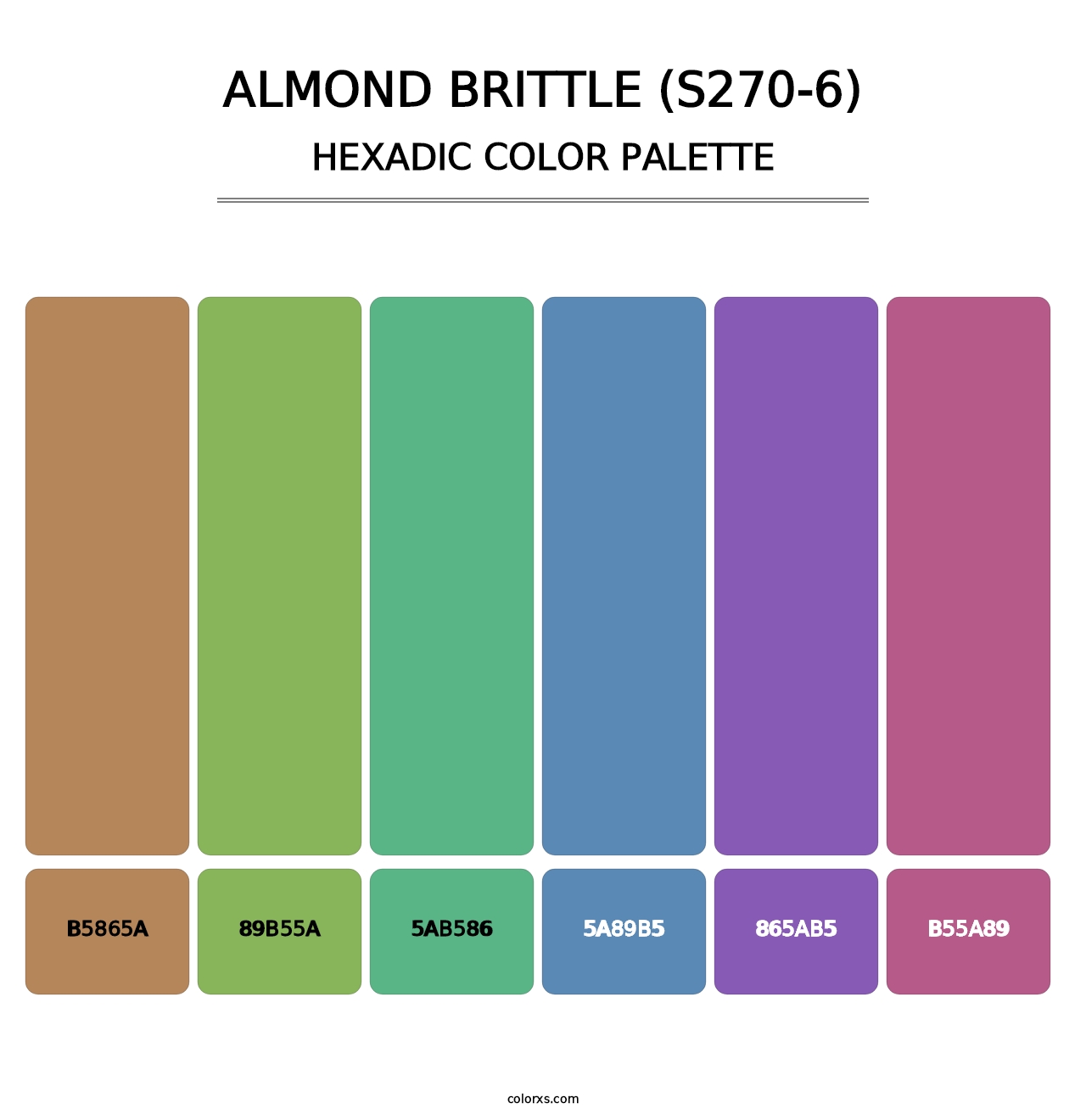 Almond Brittle (S270-6) - Hexadic Color Palette