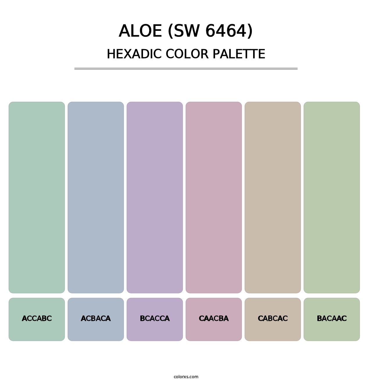 Aloe (SW 6464) - Hexadic Color Palette