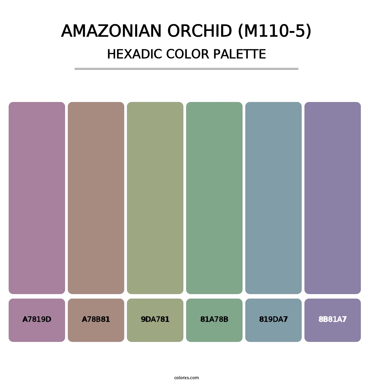 Amazonian Orchid (M110-5) - Hexadic Color Palette