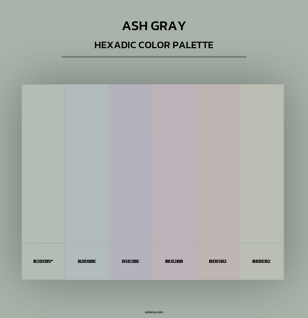Ash Gray - Hexadic Color Palette