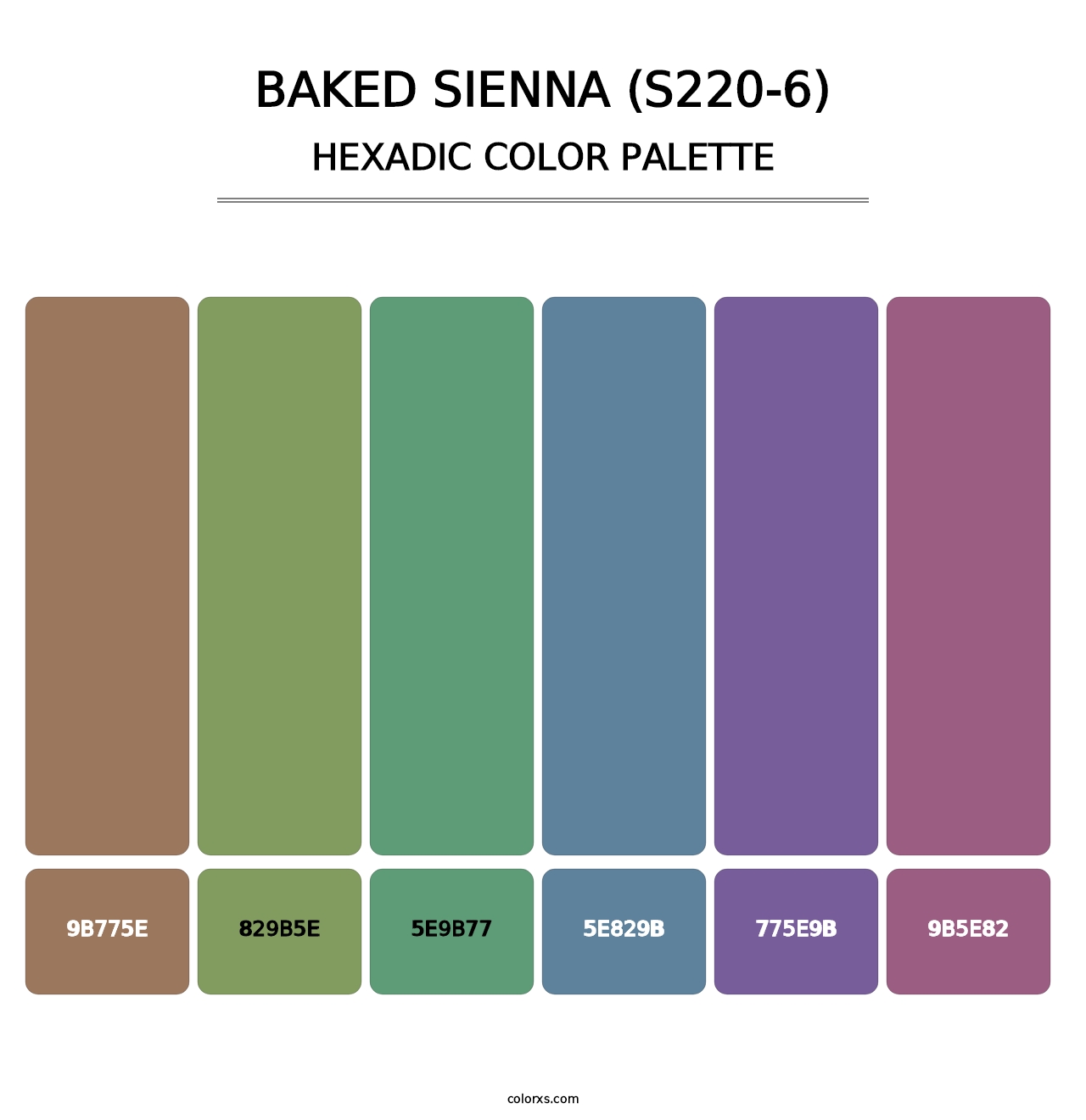 Baked Sienna (S220-6) - Hexadic Color Palette