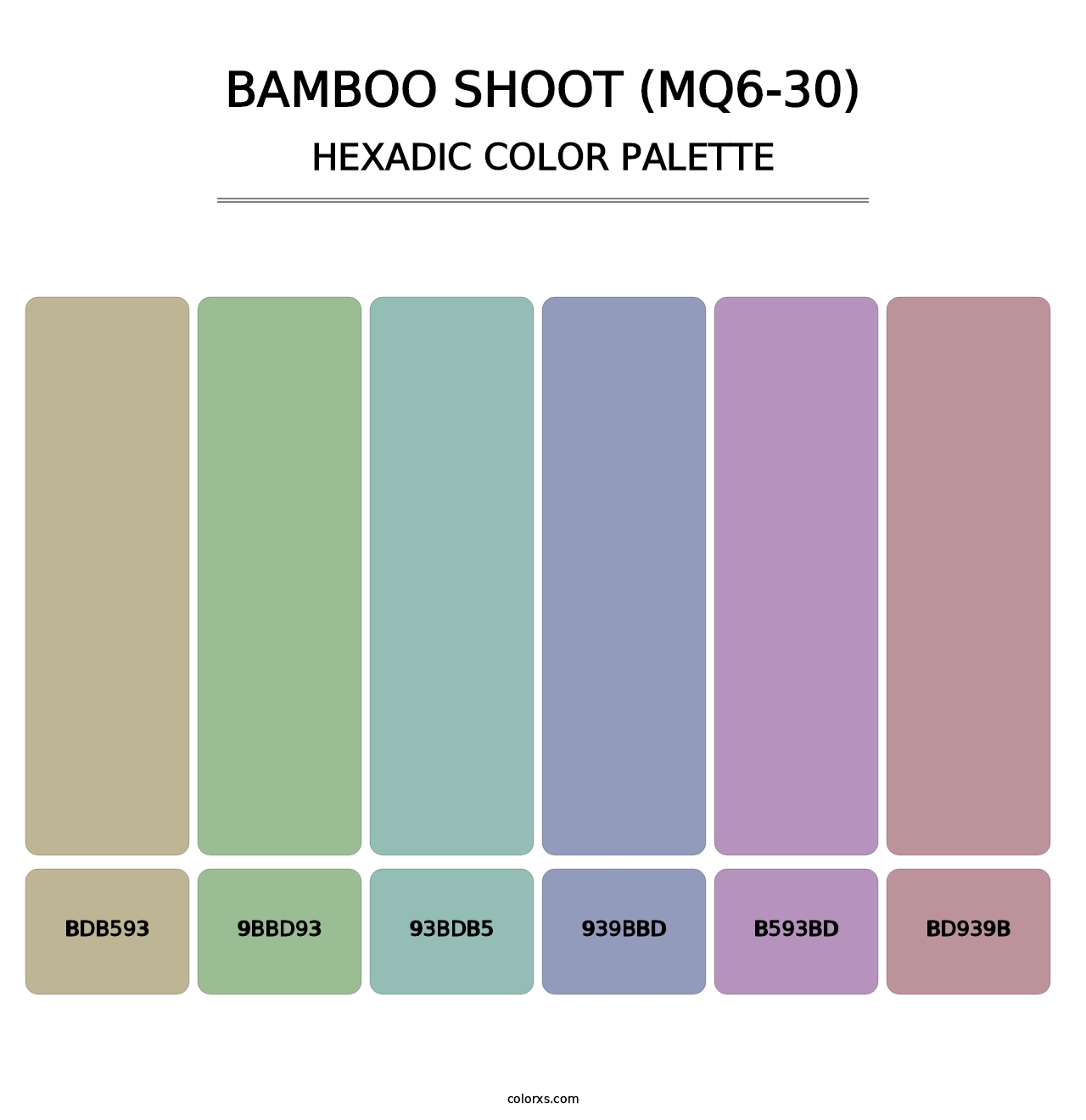 Bamboo Shoot (MQ6-30) - Hexadic Color Palette