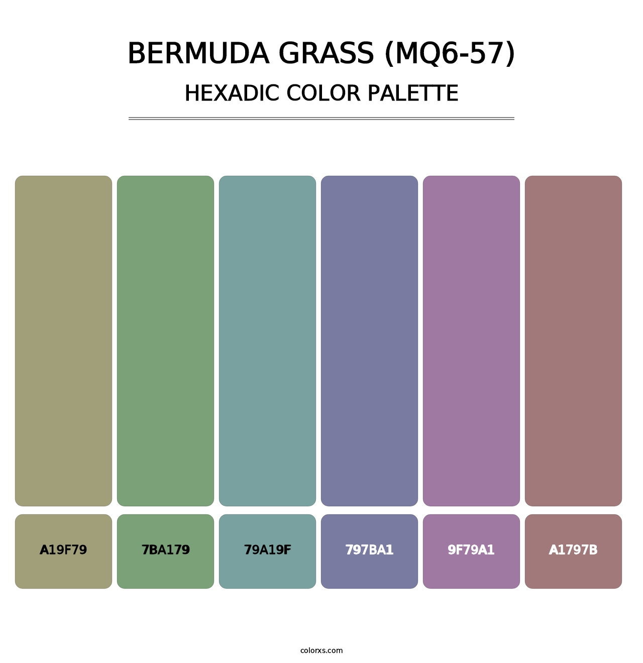 Bermuda Grass (MQ6-57) - Hexadic Color Palette