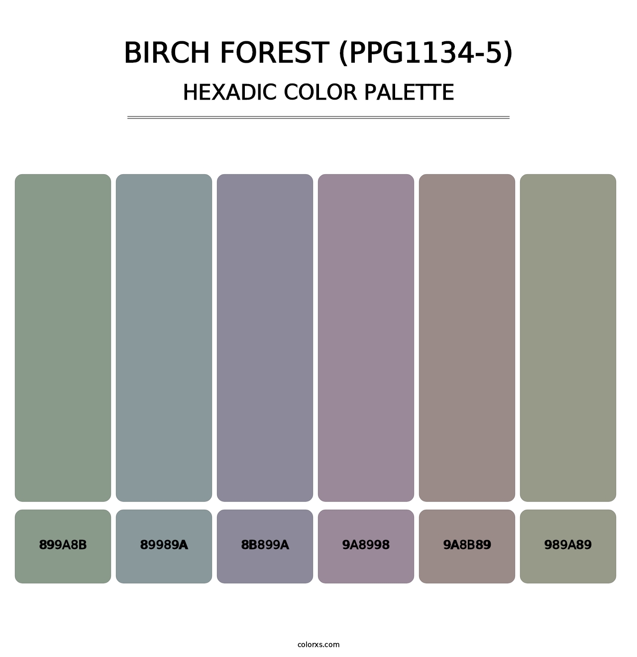 Birch Forest (PPG1134-5) - Hexadic Color Palette