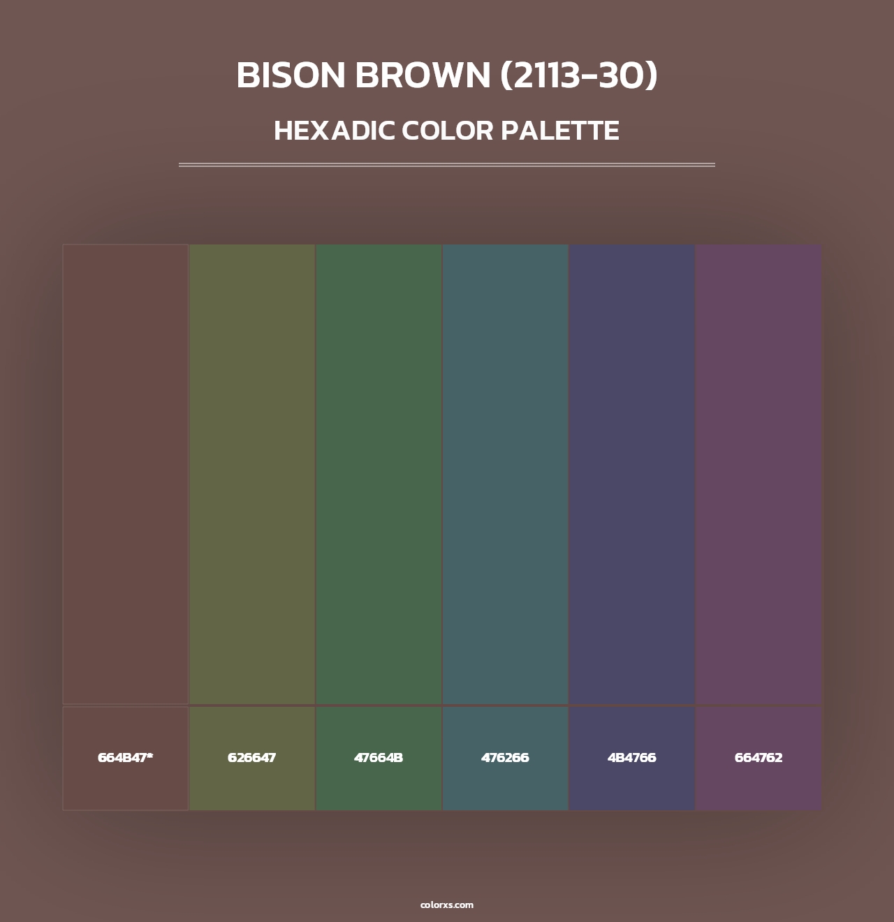 Bison Brown (2113-30) - Hexadic Color Palette