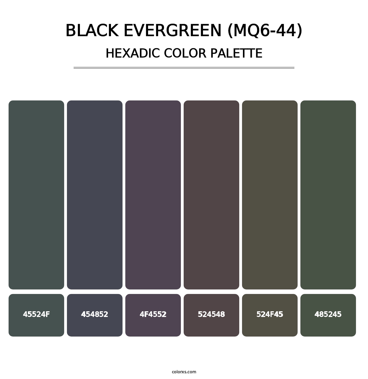 Black Evergreen (MQ6-44) - Hexadic Color Palette