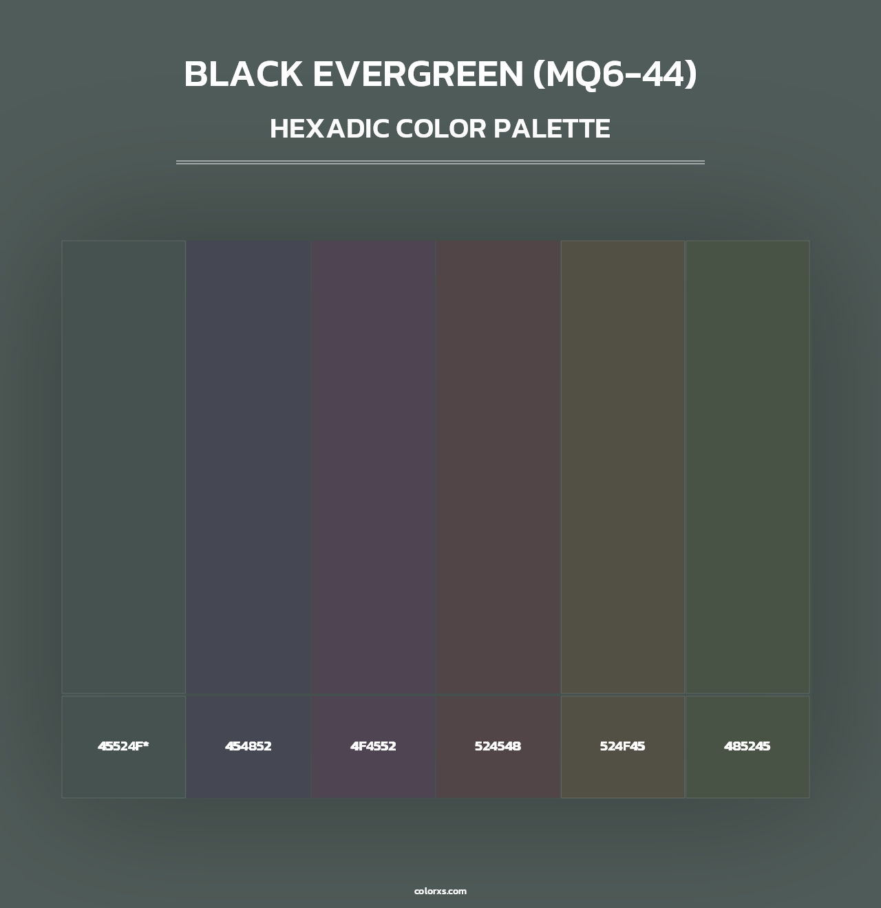 Black Evergreen (MQ6-44) - Hexadic Color Palette