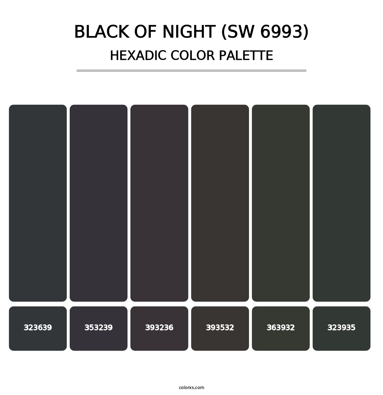 Black of Night (SW 6993) - Hexadic Color Palette